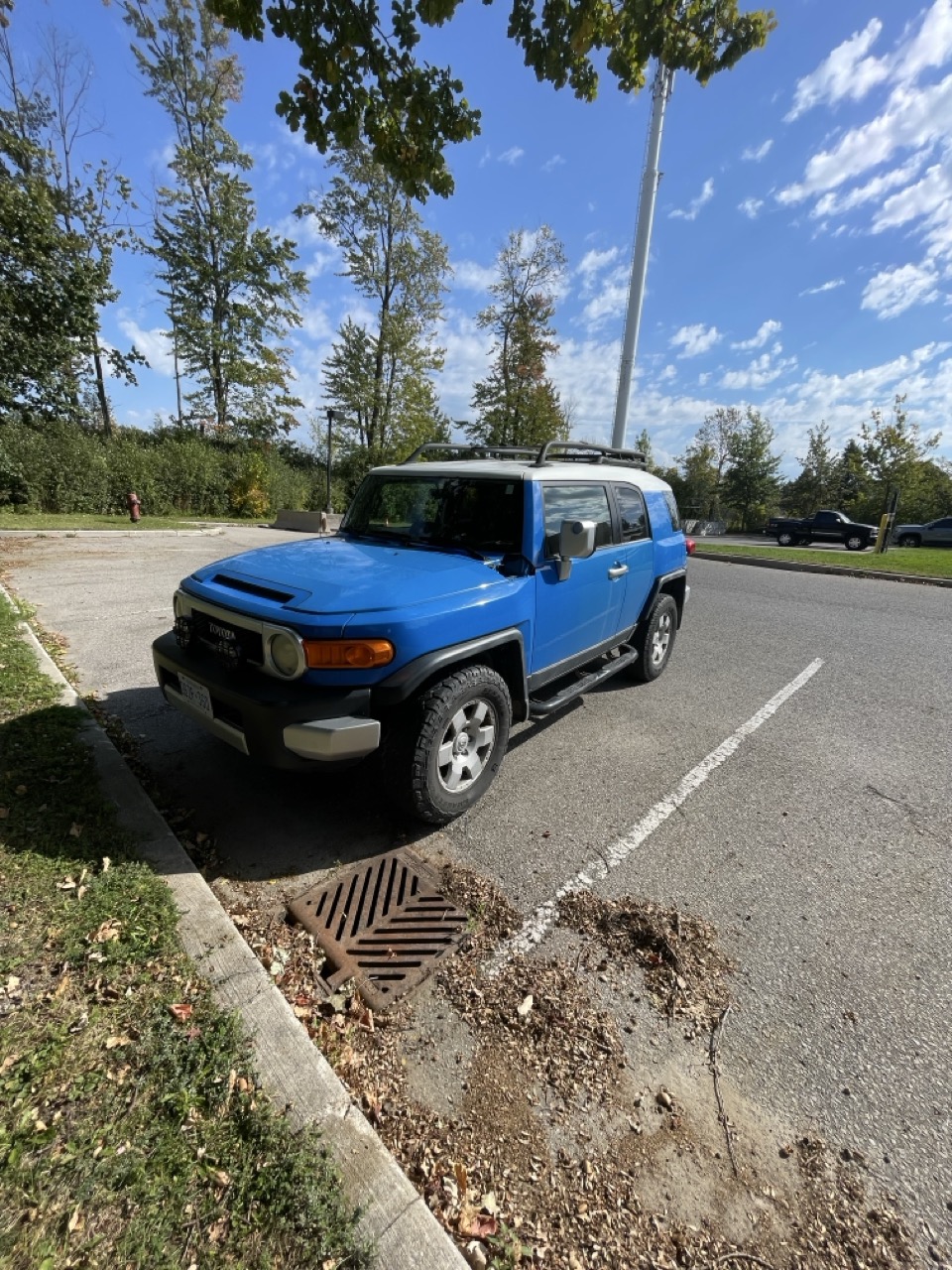 2007 TOYOTA FJ CRUISER 4WD 4DR - Търг №AE4F3D