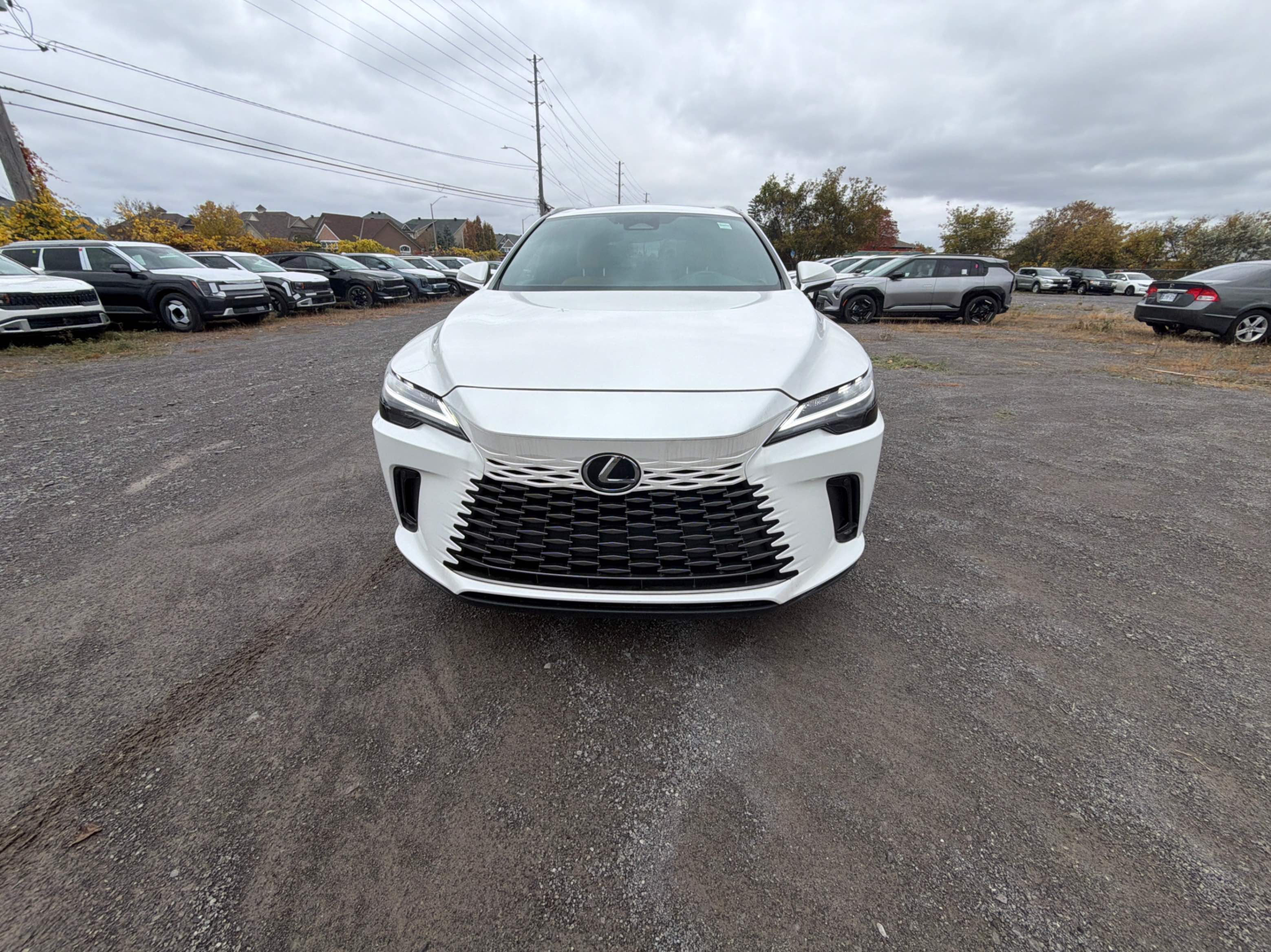 Photo 6 from auction – 2023 LEXUS RX RX 350 with VIN 2T2BAMCA2PC007688