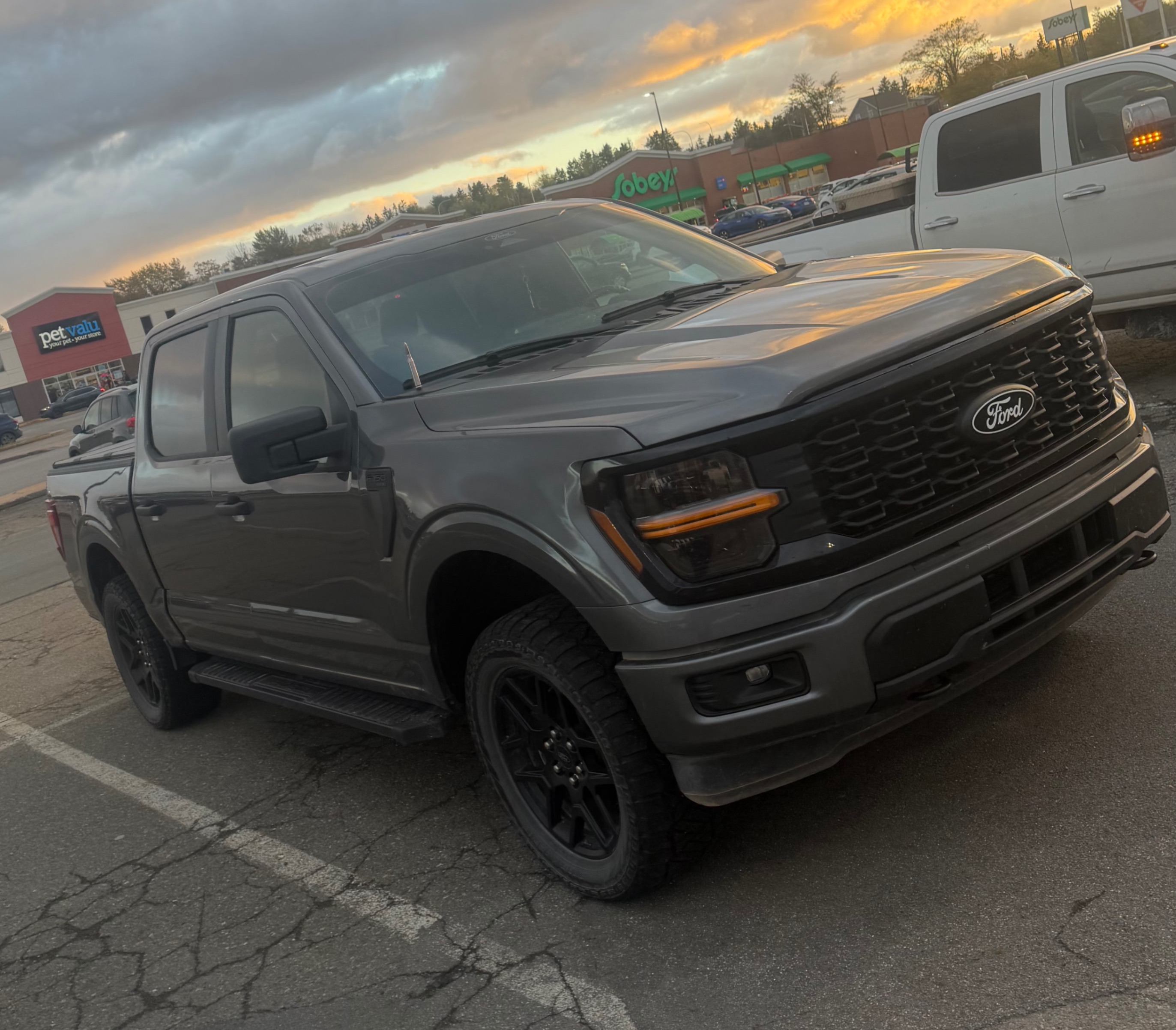 2025 FORD F-150 STX - Търг №09F74E