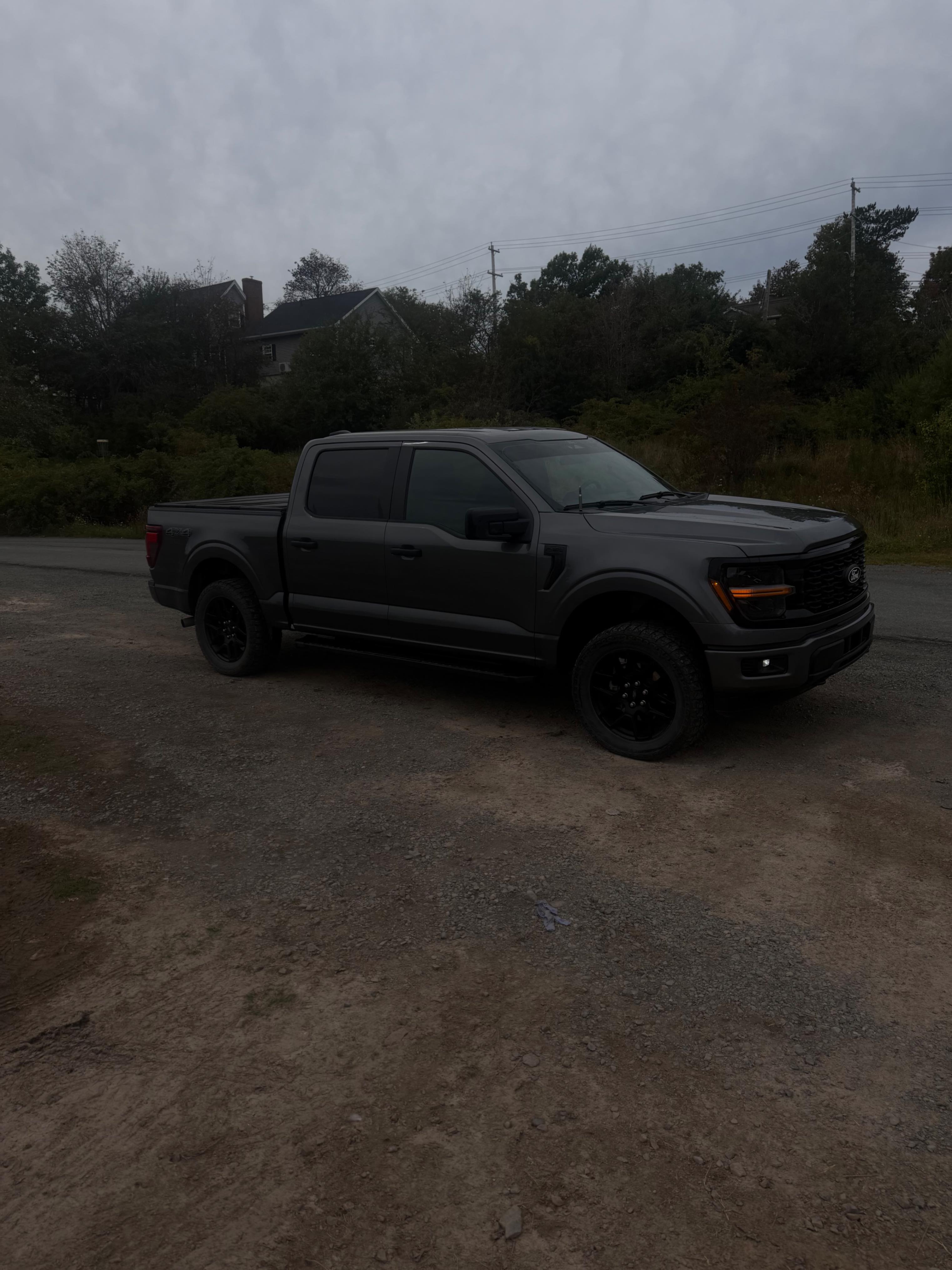 Снимка 3 от търг – 2025 FORD F-150 STX с VIN 1FTEW2LPXSKD61896