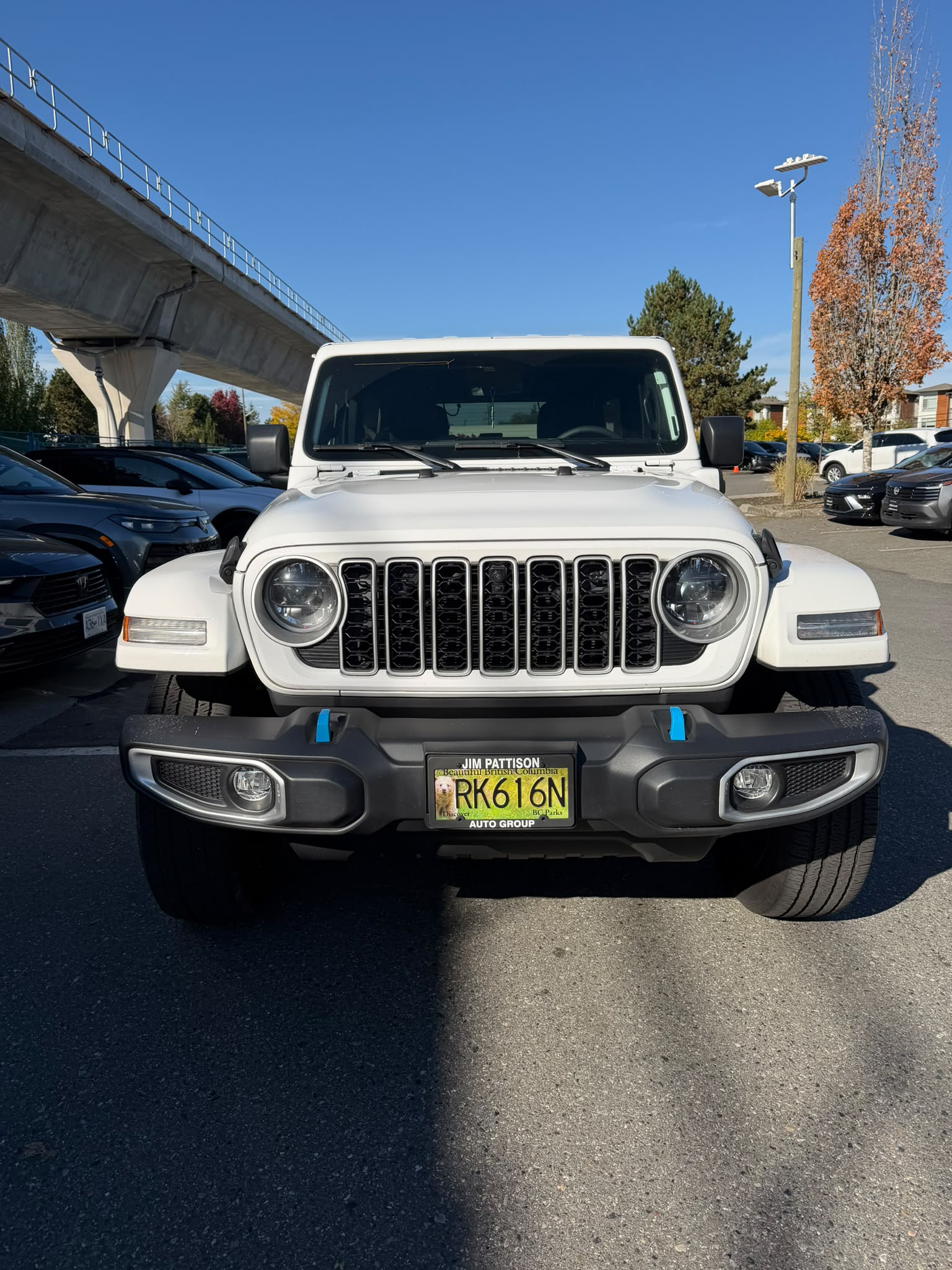 Снимка 6 от търг – 2024 JEEP WRANGLER 4XE SAHARA с VIN 1C4RJXP66RW185284
