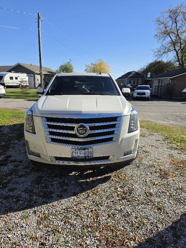 Снимка 6 от търг – 2015 CADILLAC ESCALADE LUXURY с VIN 1GYS4BKJ0FR307357