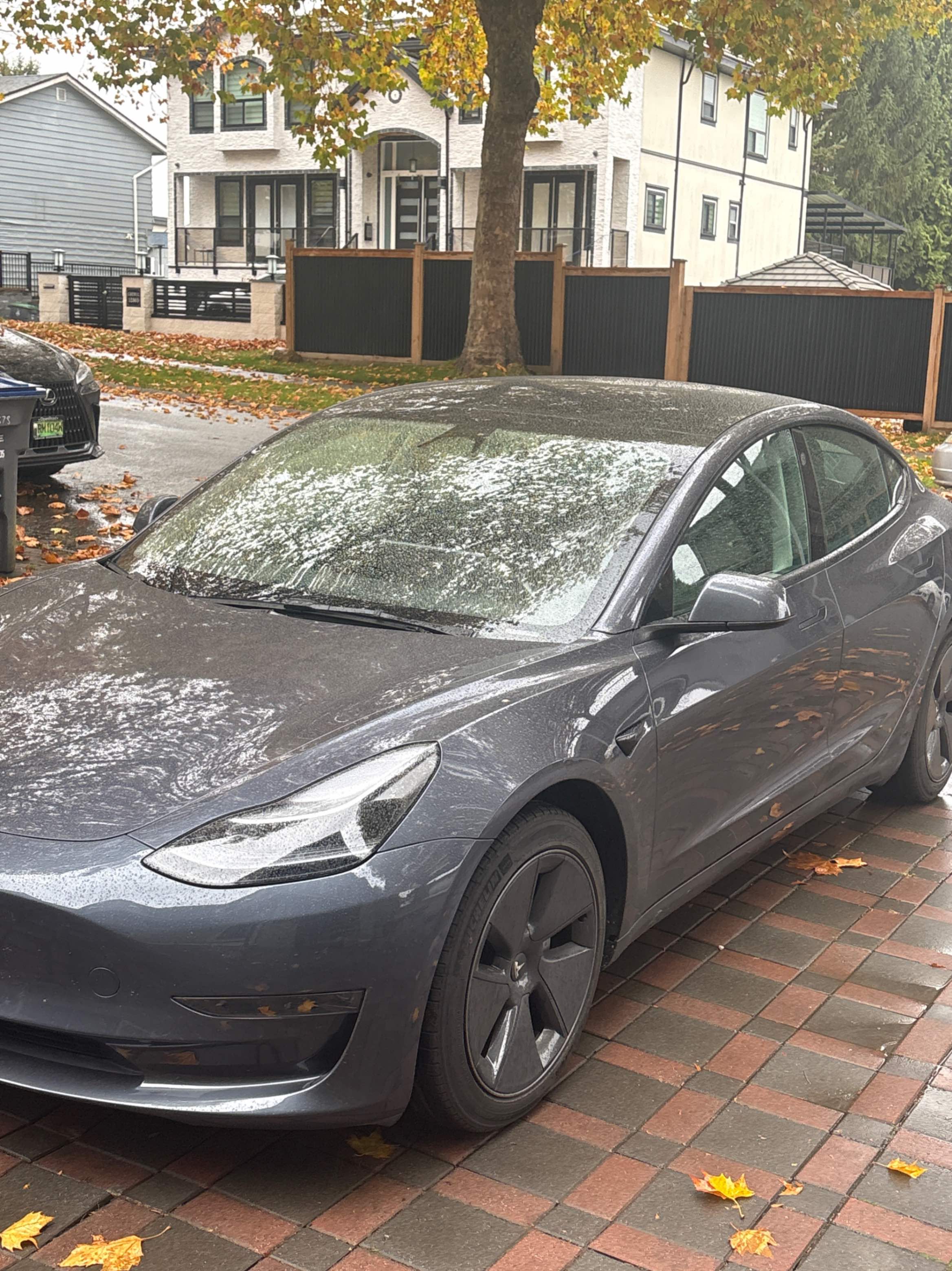 2023 TESLA MODEL 3 RWD - Търг №516CD4