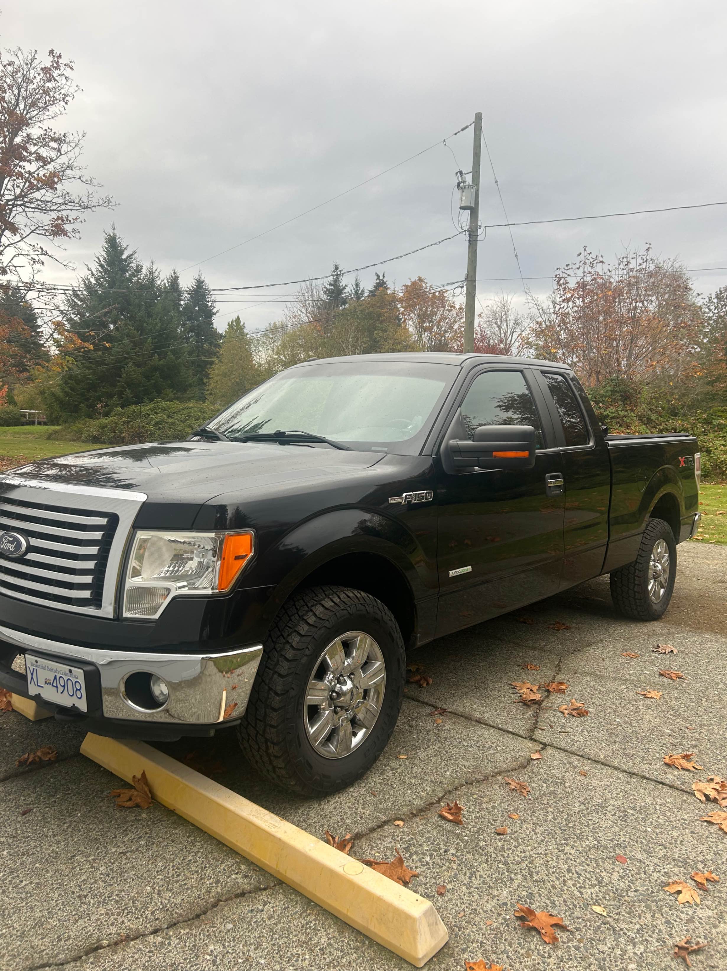 Снимка 2 от търг – 2011 FORD F-150 4WD SUPERCAB 145" с VIN 1FTFX1ET4BFD17665