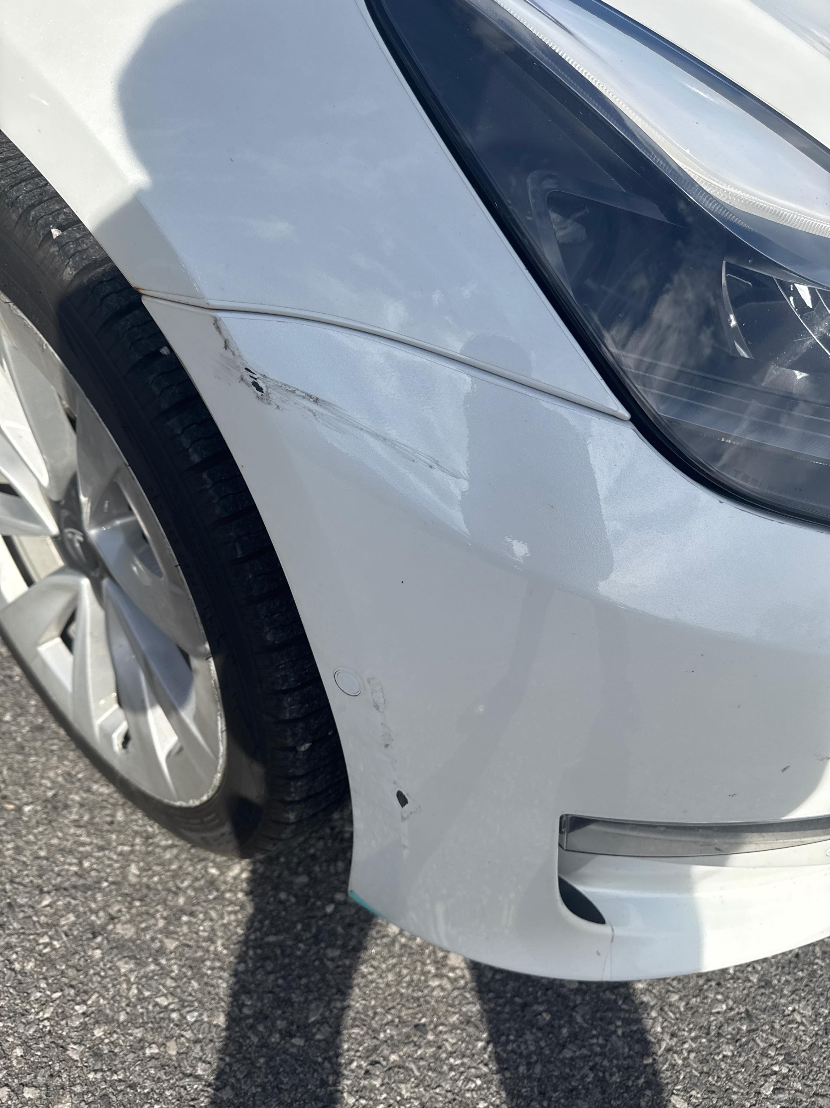 Photo 23 from auction – 2021 TESLA MODEL 3 STANDARD RANGE with VIN 5YJ3E1EAXMF080338