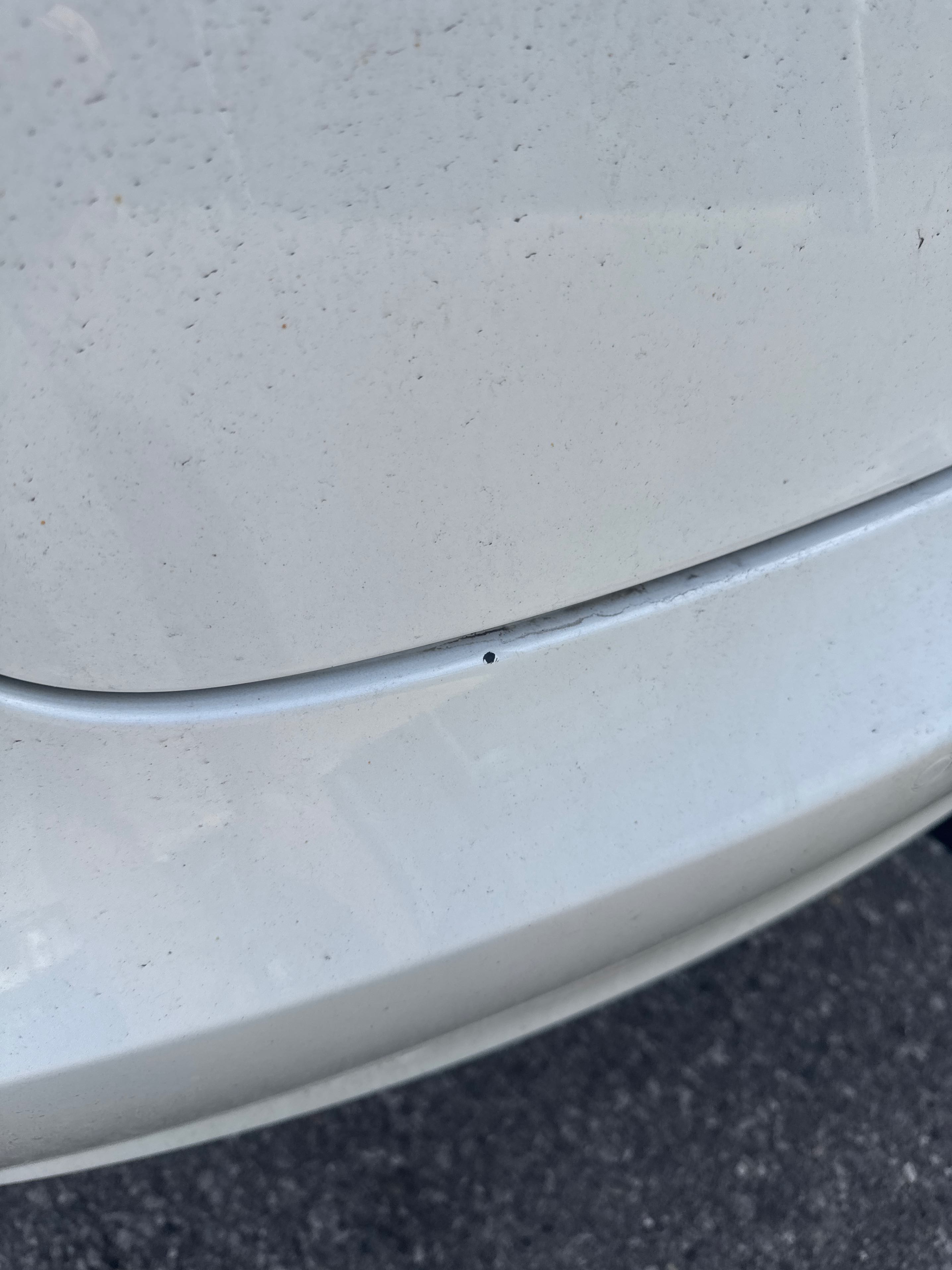 Photo 21 from auction – 2021 TESLA MODEL 3 STANDARD RANGE with VIN 5YJ3E1EAXMF080338