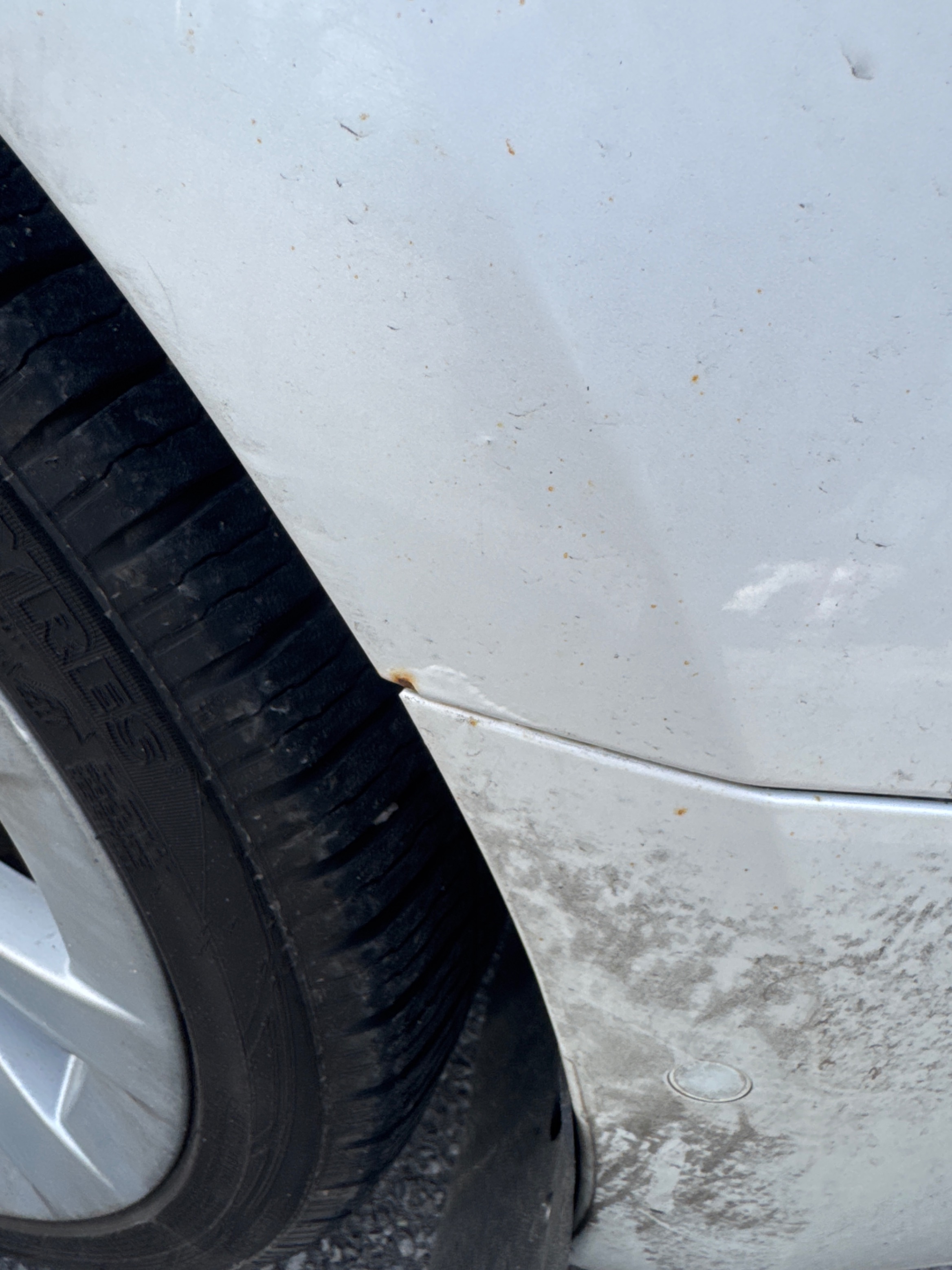 Photo 12 from auction – 2021 TESLA MODEL 3 STANDARD RANGE with VIN 5YJ3E1EAXMF080338