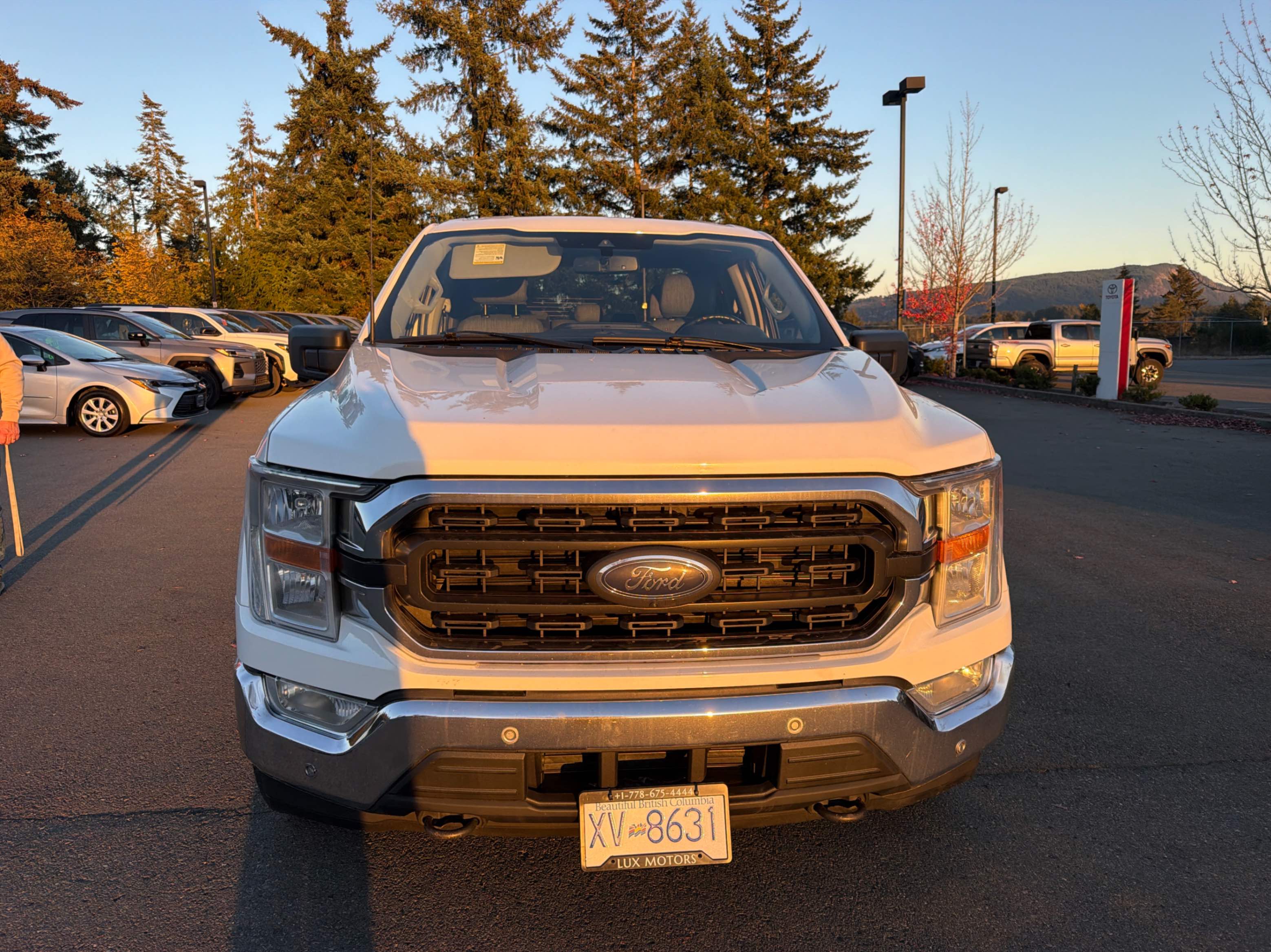 Снимка 6 от търг – 2021 FORD F-150 4WD SUPERCREW BOX с VIN 1FTFW1E85MFB55983