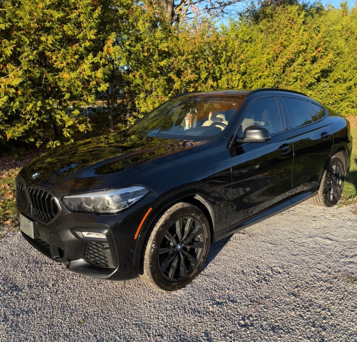 2021 BMW X6 XDRIVE40I - Търг №E1F4A2