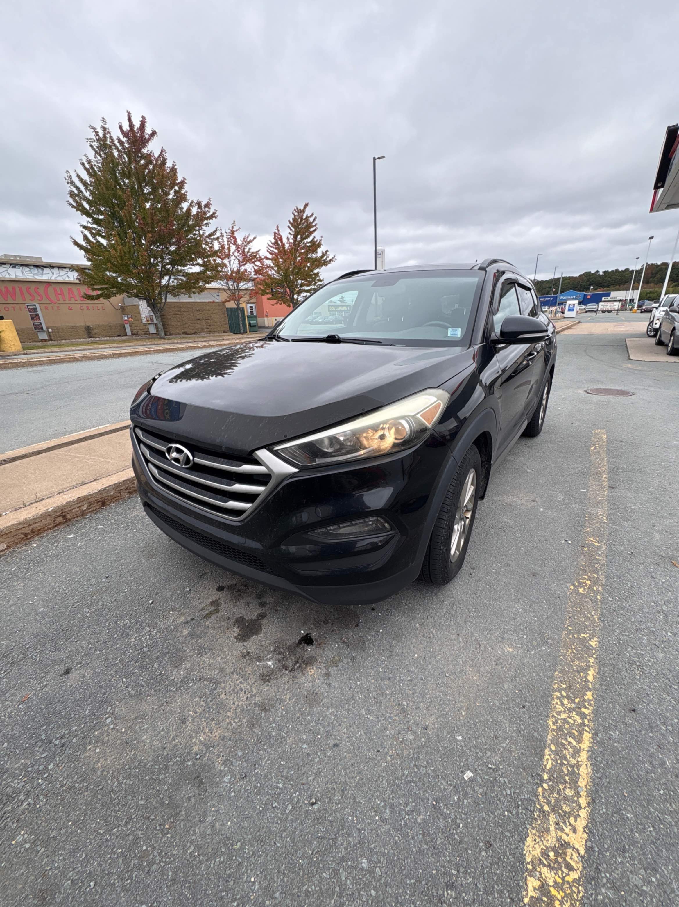 HYUNDAI TUCSON SE 2017 with VIN KM8J3CA47HU316784 - Photo from auction