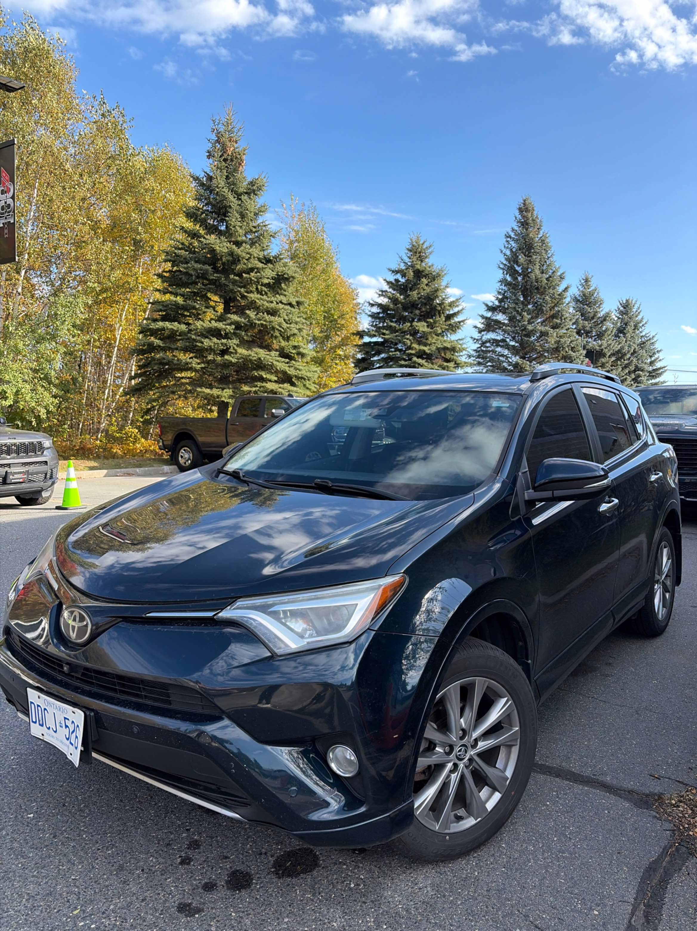 TOYOTA RAV4 LIMITED 2017 with VIN 2T3DFREVXHW543064 - Photo from auction