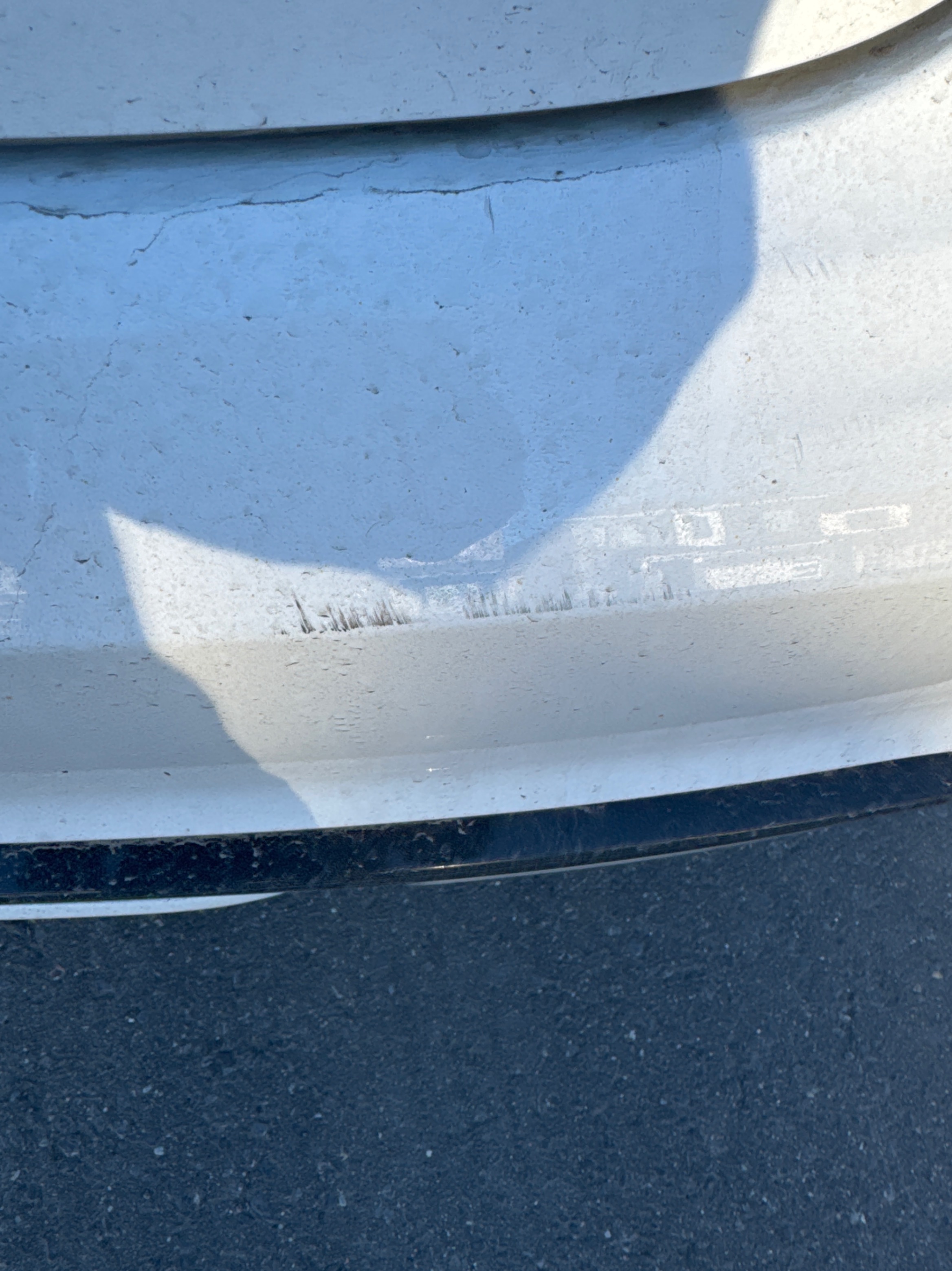 Снимка 14 от търг – 2025 CADILLAC CT5 SPORT с VIN 1G6DU5RK0S0119955