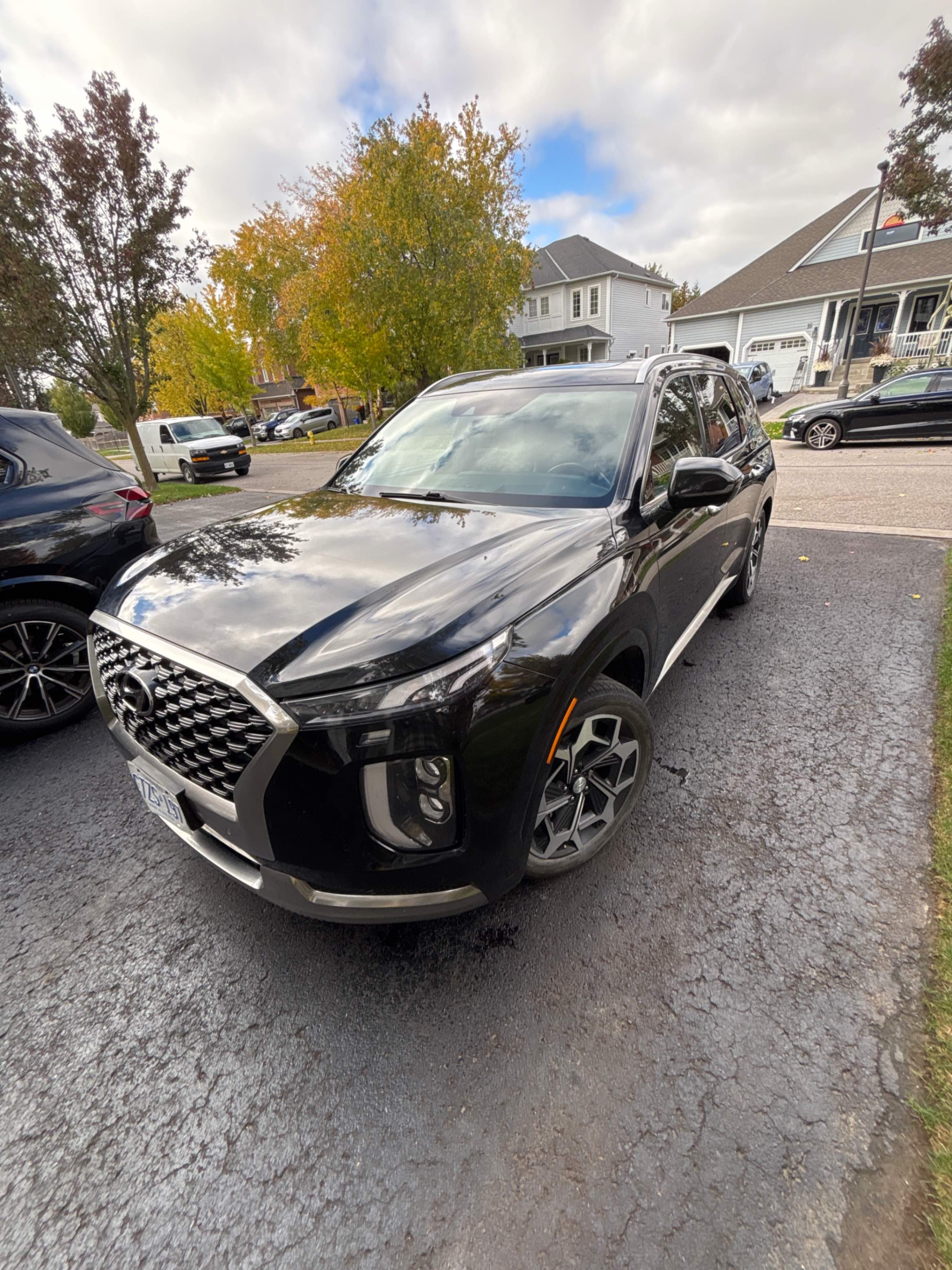 2022 HYUNDAI PALISADE ULTIMATE CALLIGRAPHY - Търг №5A4E65