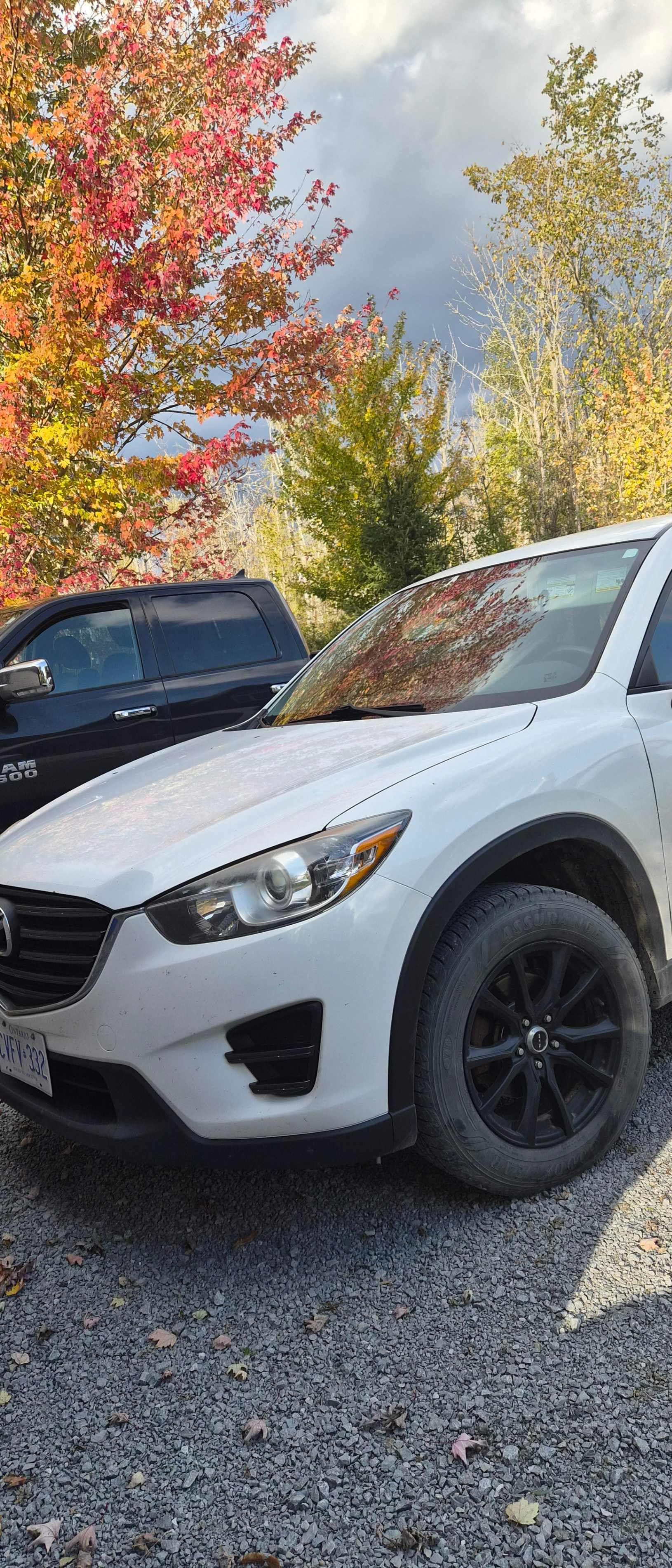 MAZDA CX-5 GX 2016 with VIN JM3KE2BY8G0804539 - Photo from auction