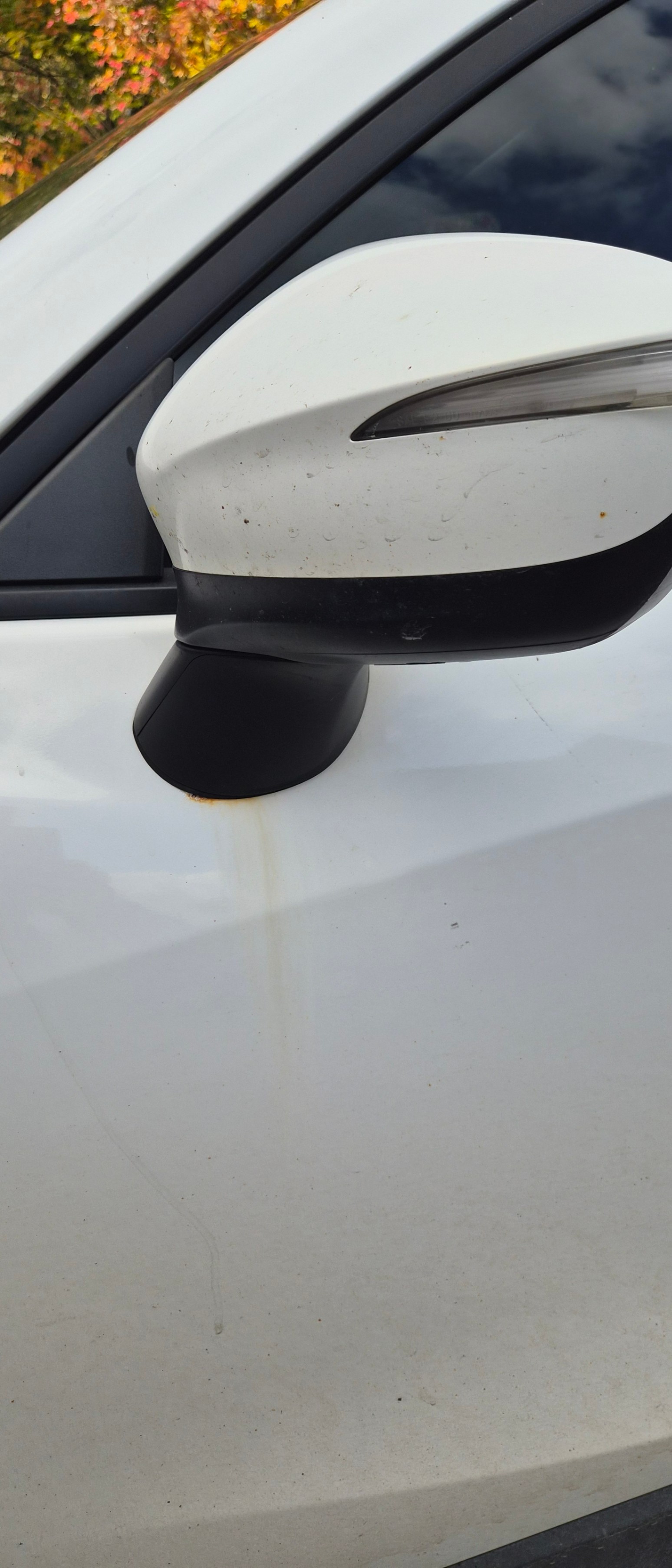 Photo 12 from auction – 2016 MAZDA CX-5 GX with VIN JM3KE2BY8G0804539