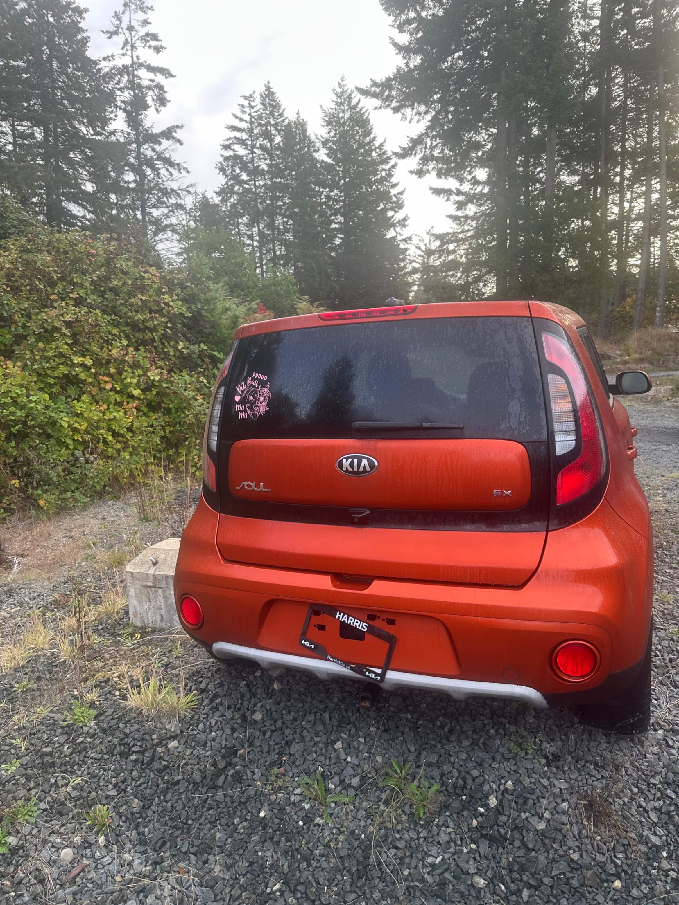 Photo 11 from auction – 2019 KIA SOUL AUTO with VIN KNDJP3A59K7655151