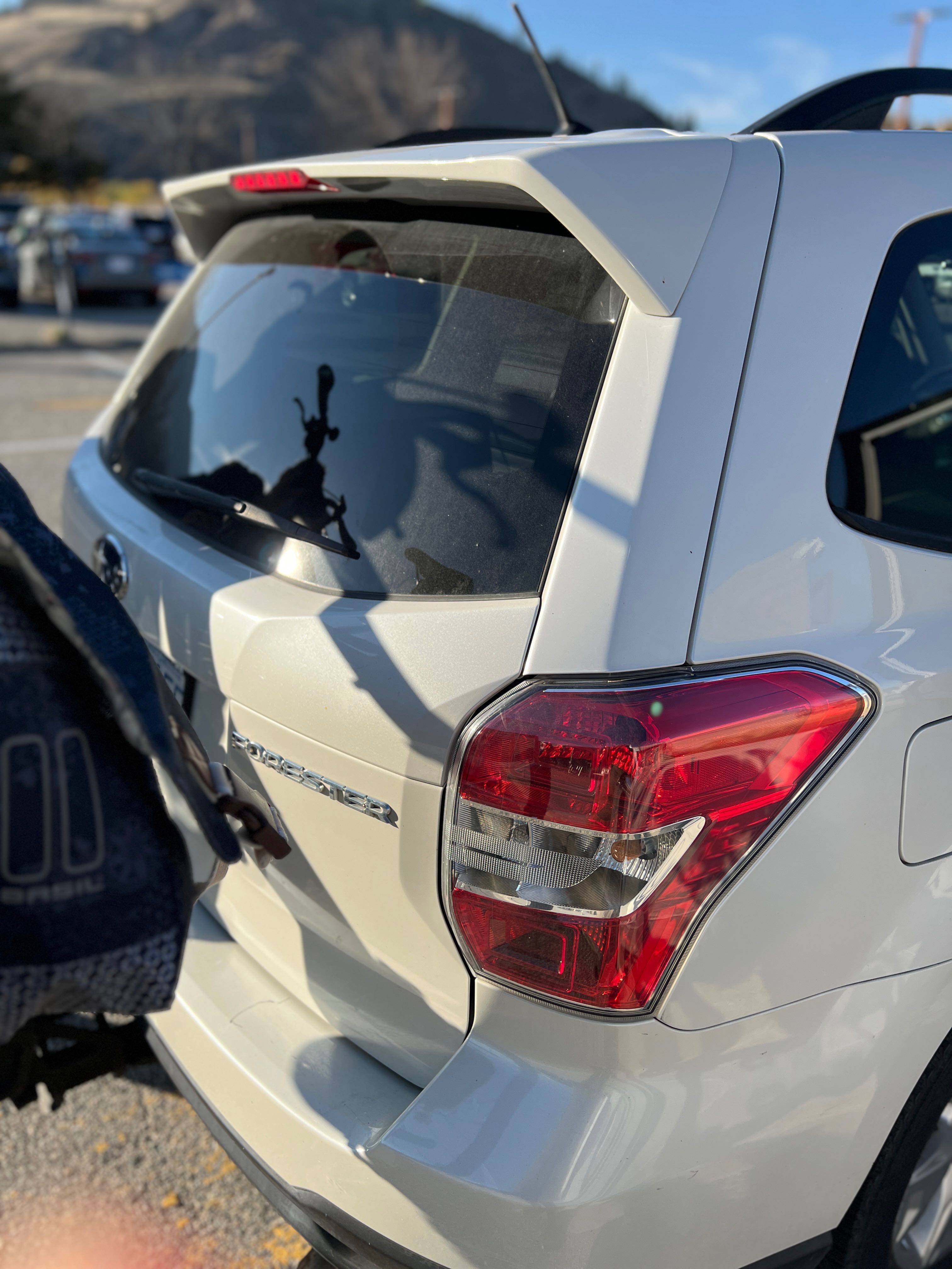 Photo 4 from auction – 2015 SUBARU FORESTER I TOURING with VIN JF2SJCHC3FH472663