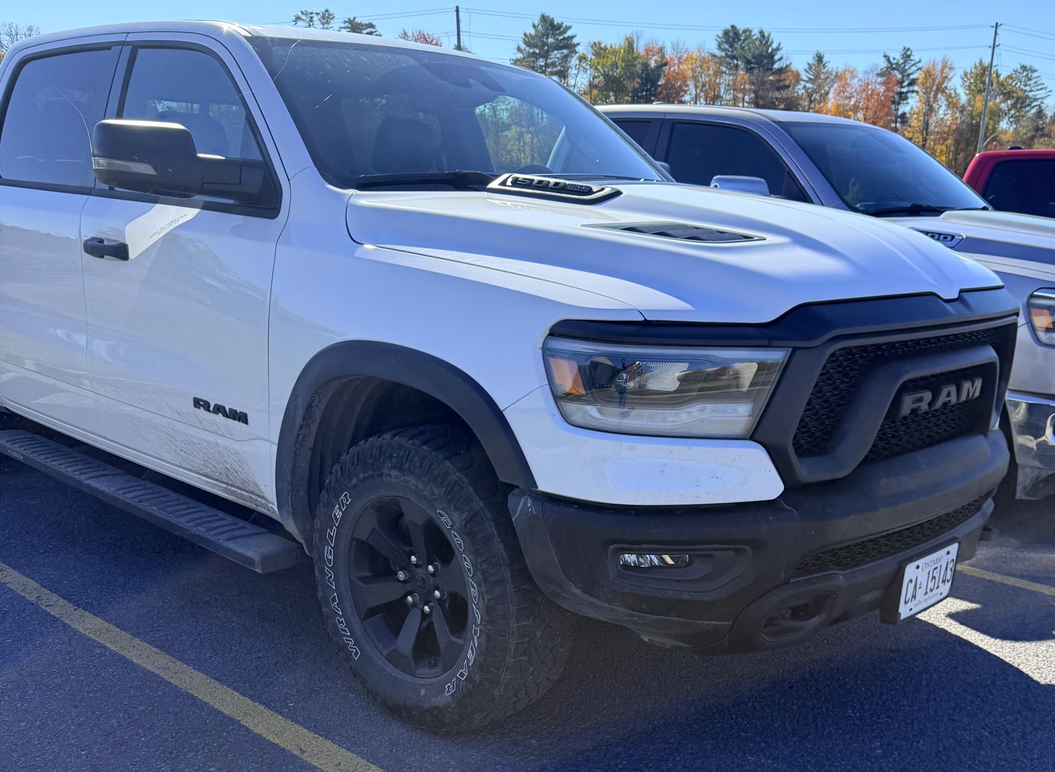 RAM 1500 REBEL 2024 with VIN 1C6SRFLT7RN216846 - Photo from auction