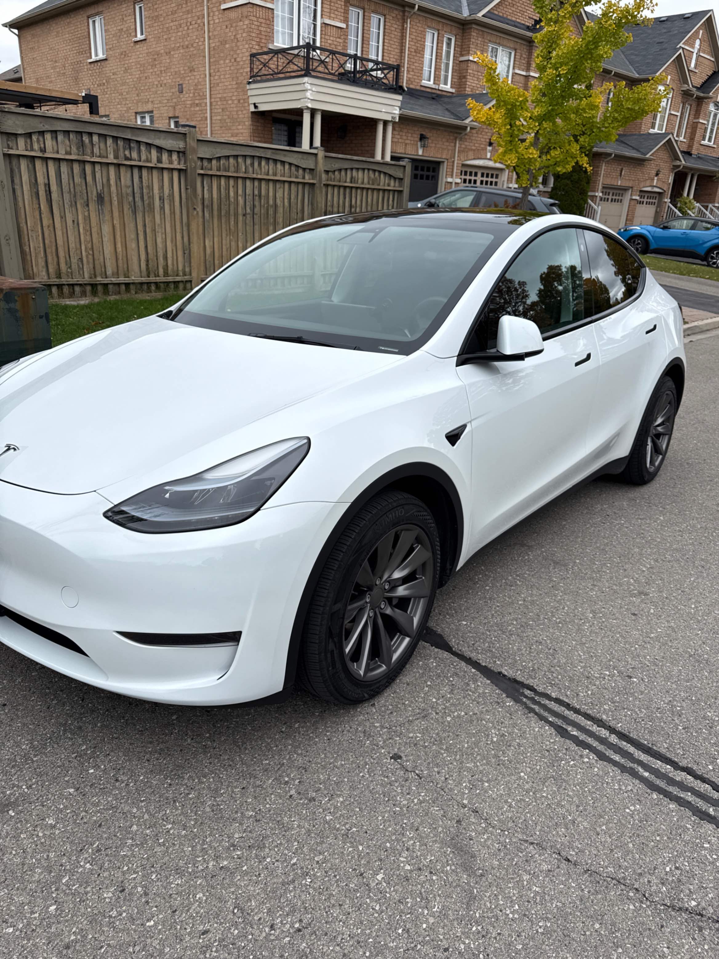 TESLA MODEL Y RWD 2023 with VIN LRWYGDFD5PC913438 - Photo from auction