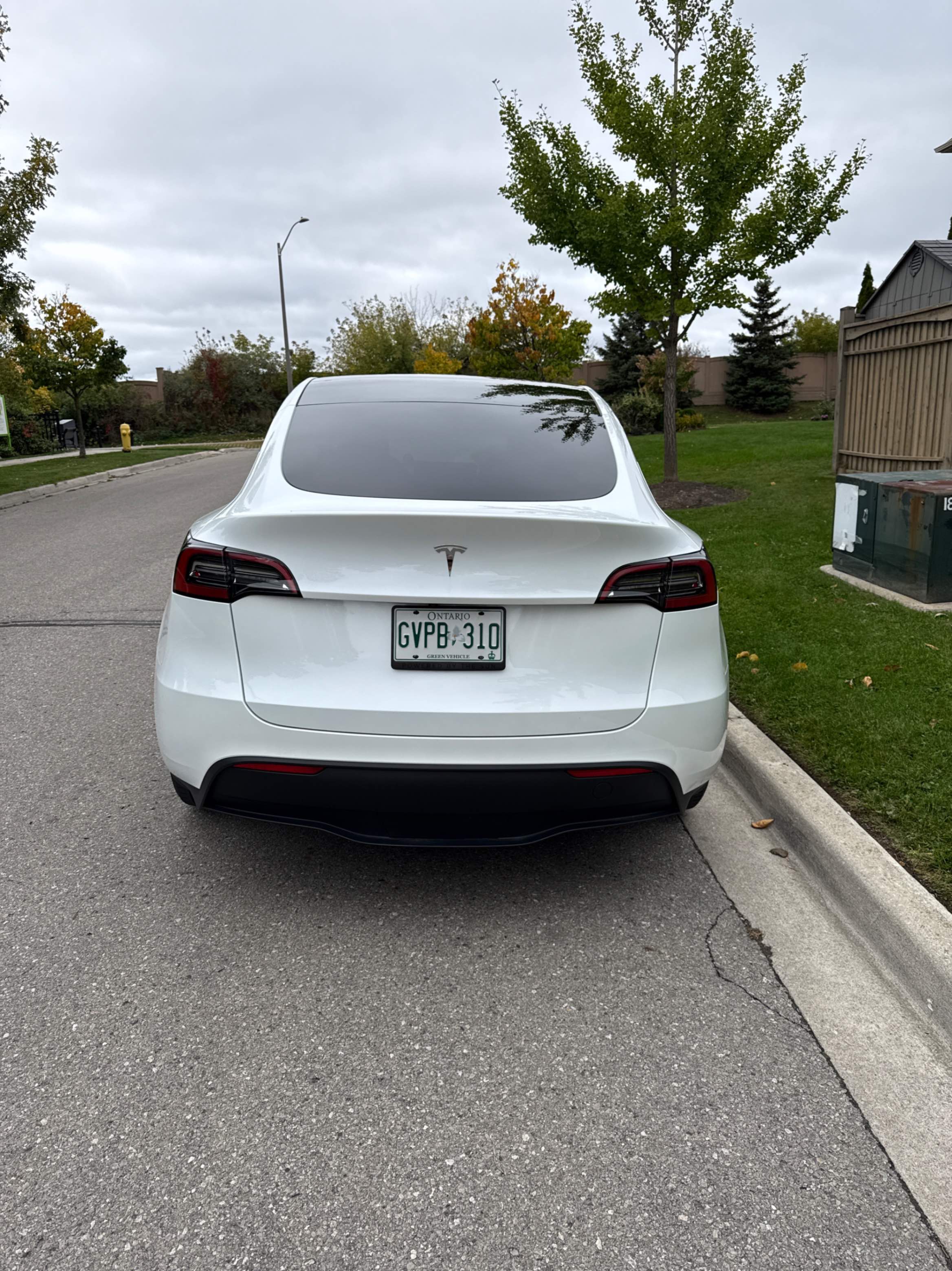 Photo 4 from auction – 2023 TESLA MODEL Y RWD with VIN LRWYGDFD5PC913438