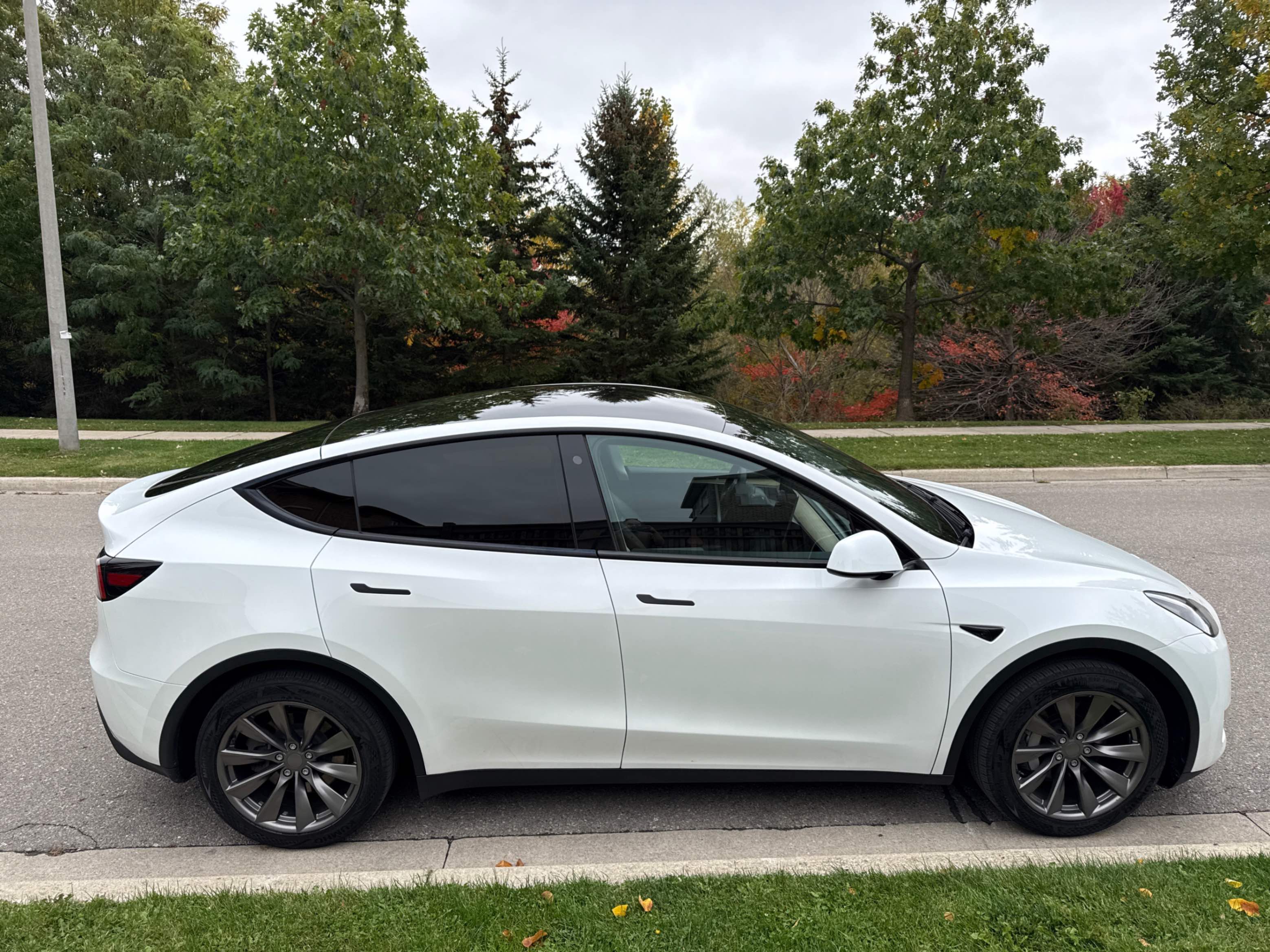 Photo 3 from auction – 2023 TESLA MODEL Y RWD with VIN LRWYGDFD5PC913438
