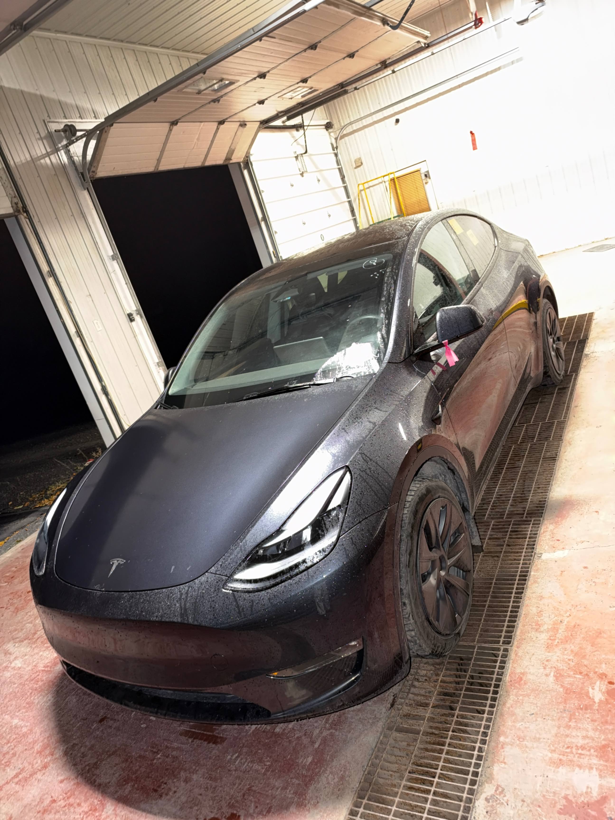 TESLA MODEL Y LONG RANGE 2024 with VIN 7SAYGDEE2RF204634 - Photo from auction