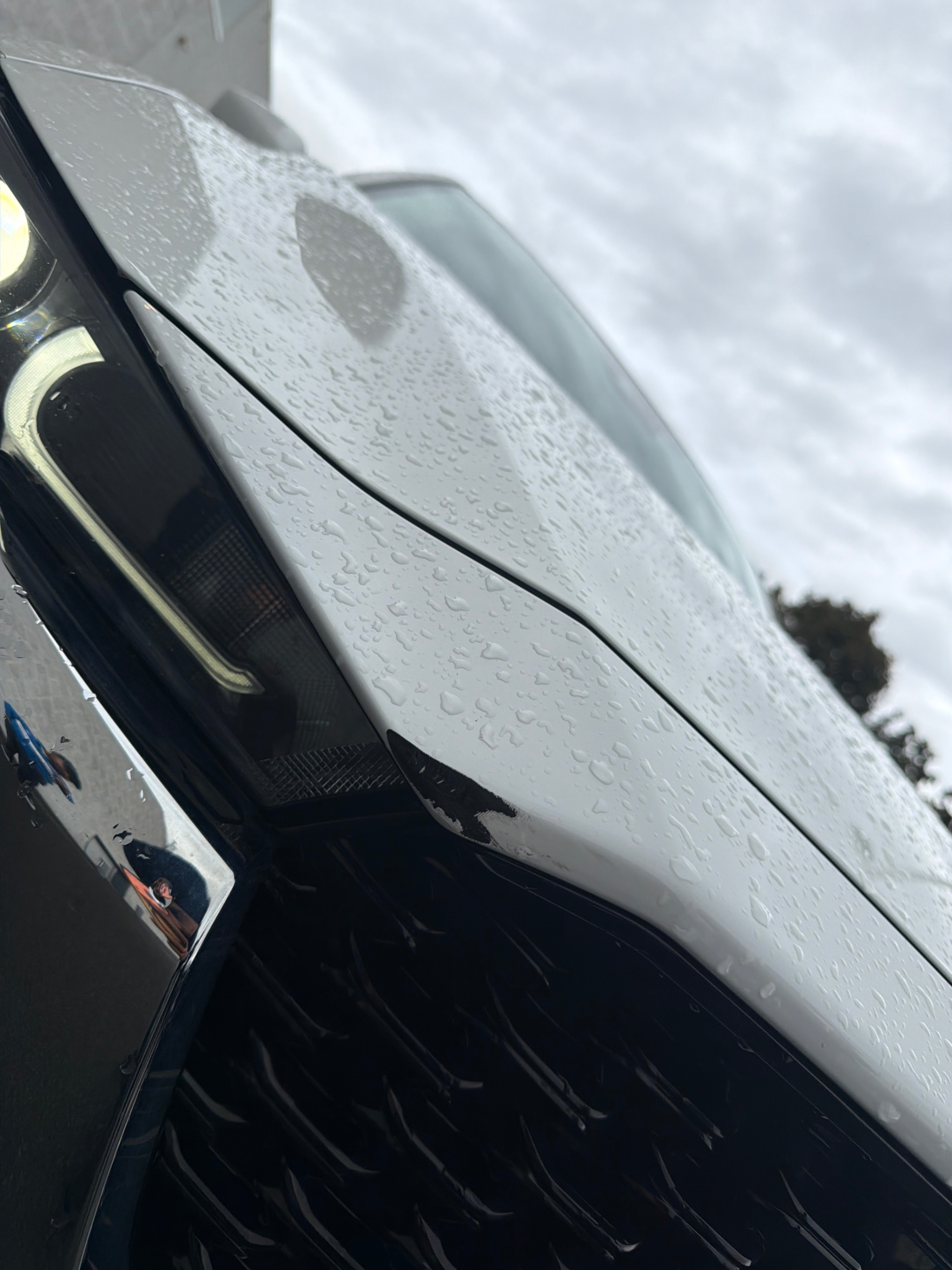 Photo 17 from auction – 2023 MAZDA CX-5 AWD with VIN JM3KFBDM5P0234216