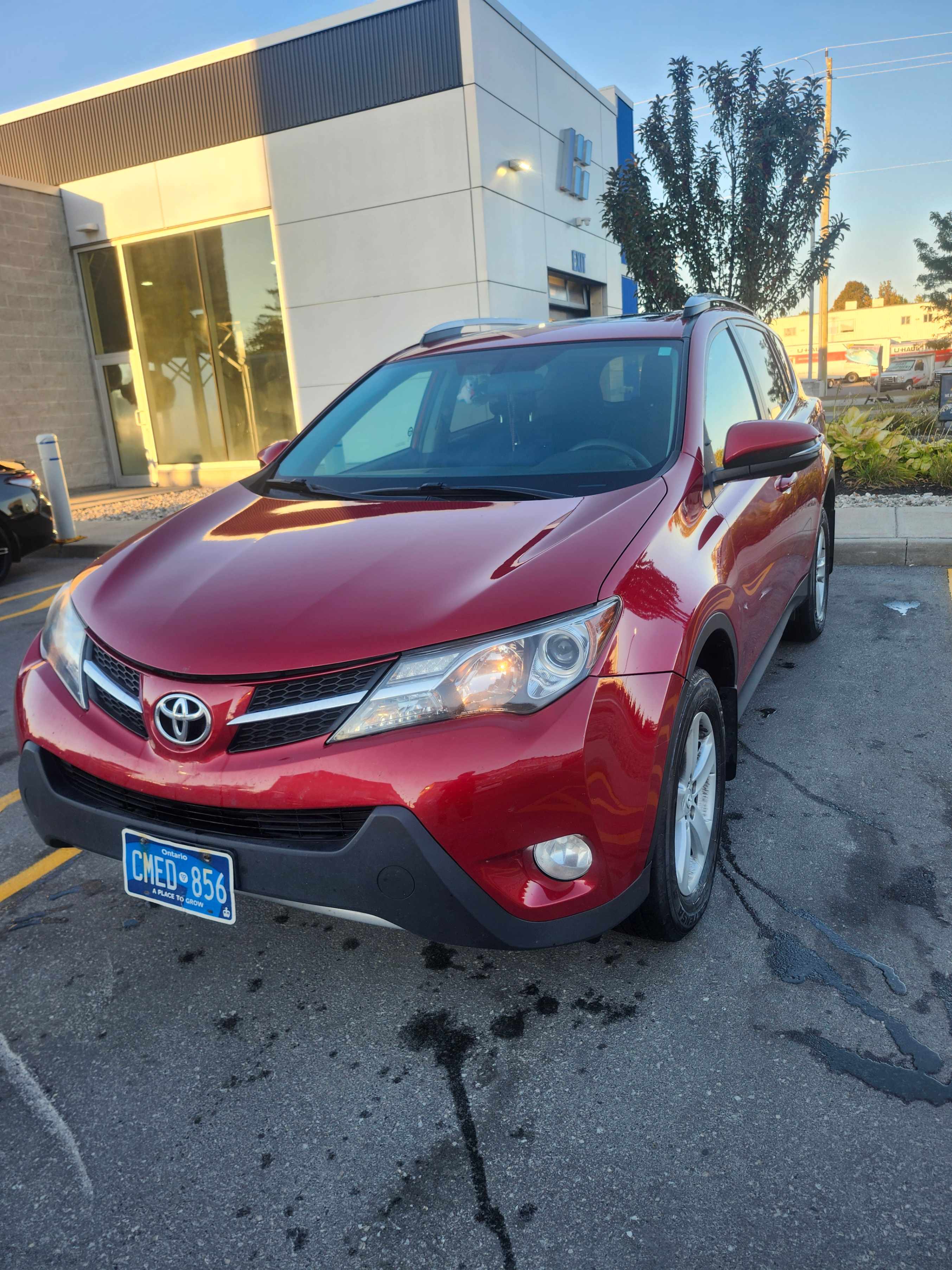 TOYOTA RAV4 XLE 2014 with VIN 2T3RFREVXEW192819 - Photo from auction