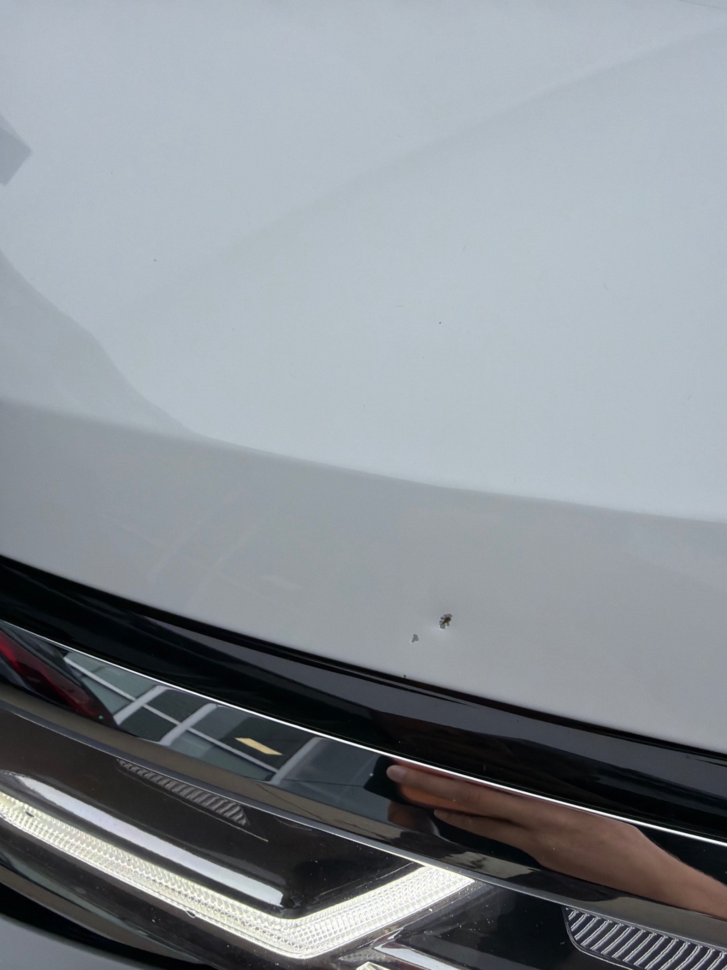 Photo 18 from auction – 2023 VOLKSWAGEN ATLAS EXECLINE with VIN 1V2FR2CA4PC502453