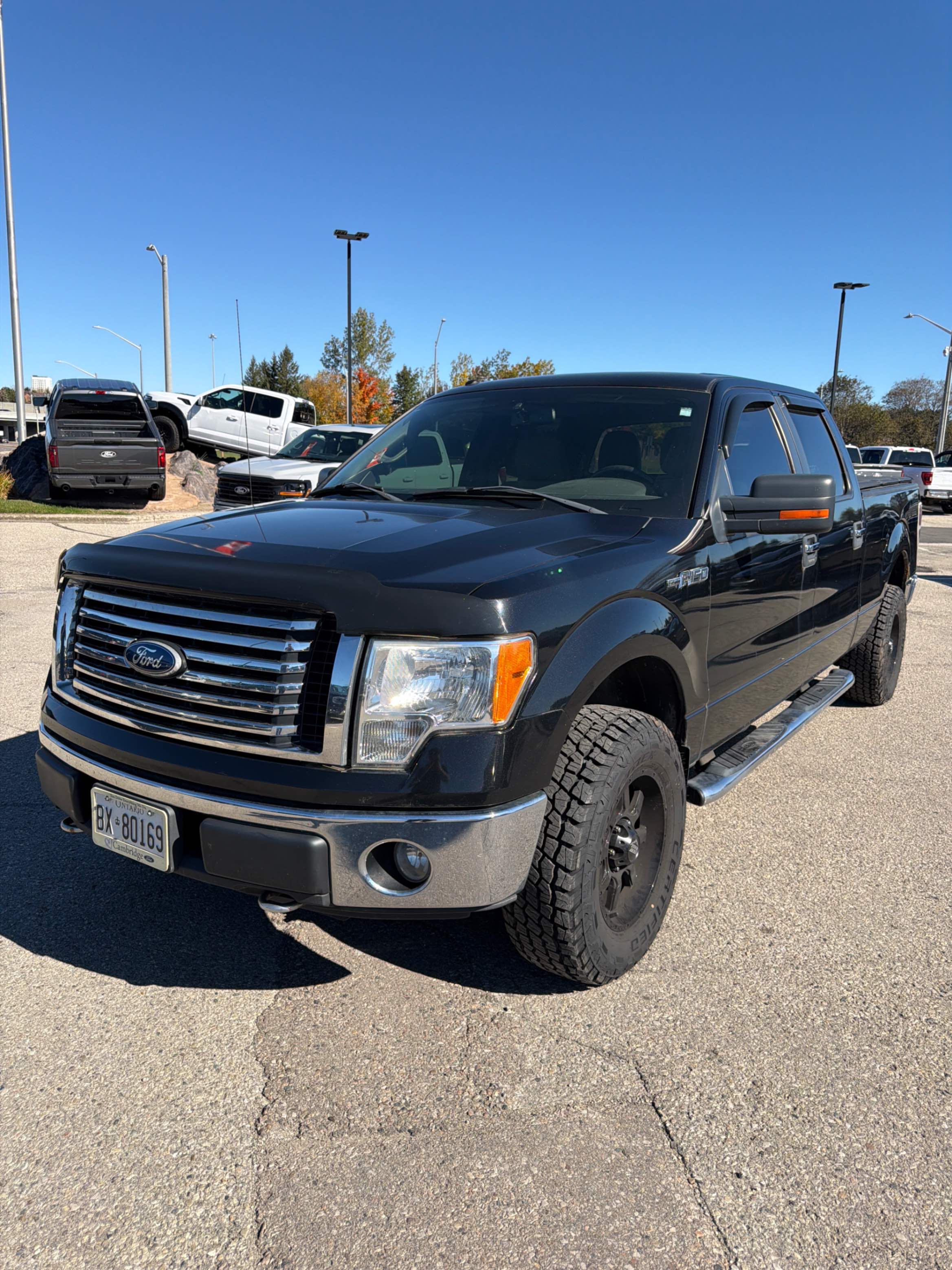 FORD F-150 SUPERCREW 2010 with VIN 1FTFW1EV2AFD82565 - Photo from auction