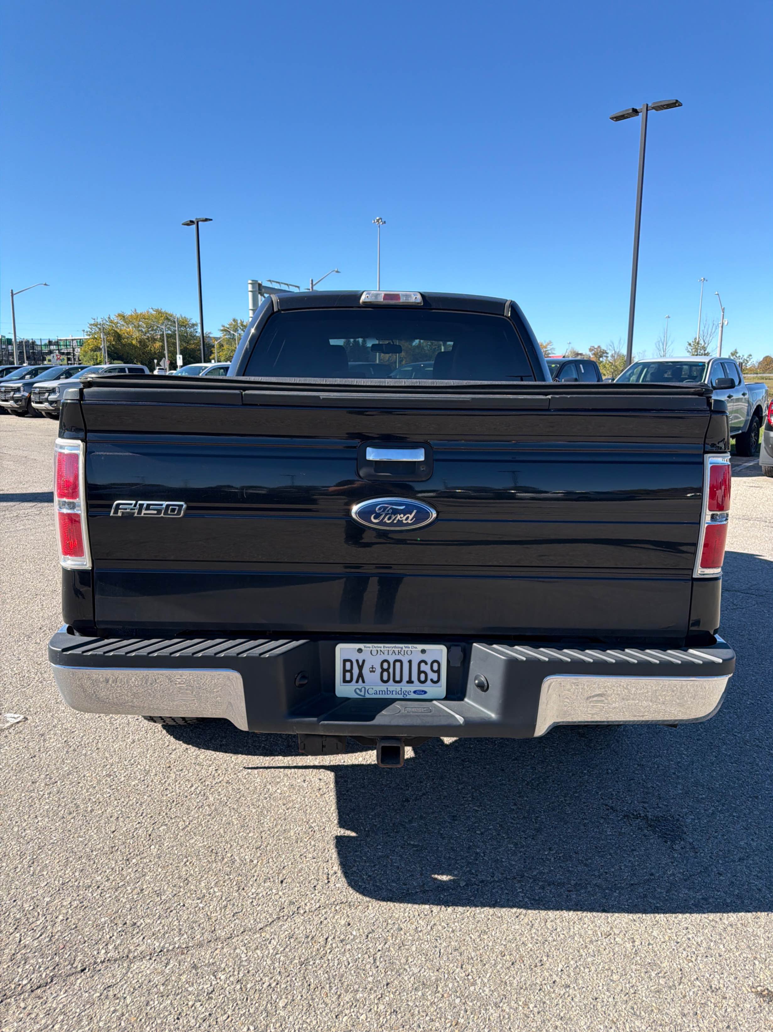 Photo 4 from auction – 2010 FORD F-150 SUPERCREW with VIN 1FTFW1EV2AFD82565