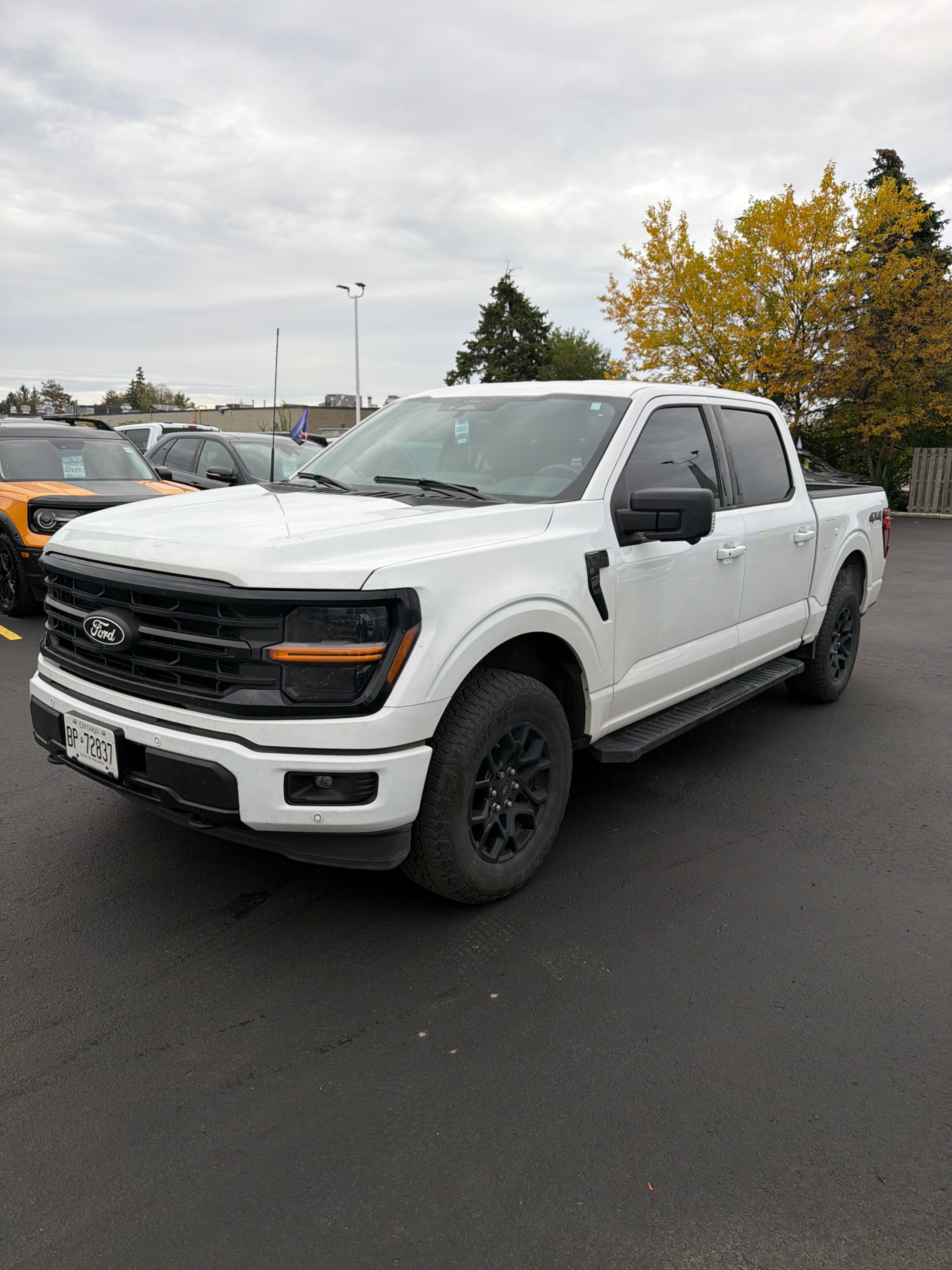FORD F-150 XLT 2025 с VIN 1FTEW3LP5SFA87330 - Снимка от търг