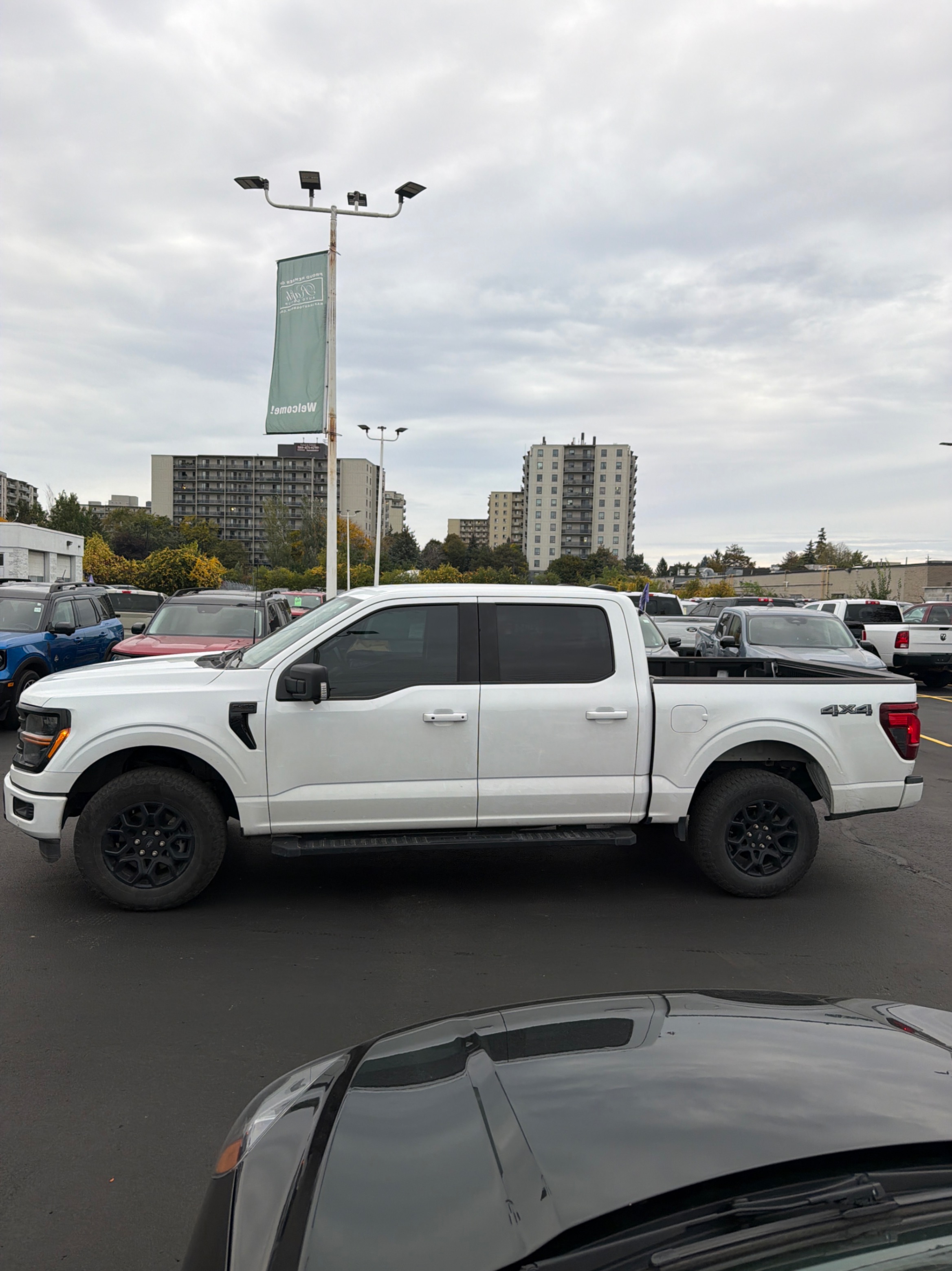Снимка 2 от търг – 2025 FORD F-150 XLT с VIN 1FTEW3LP5SFA87330