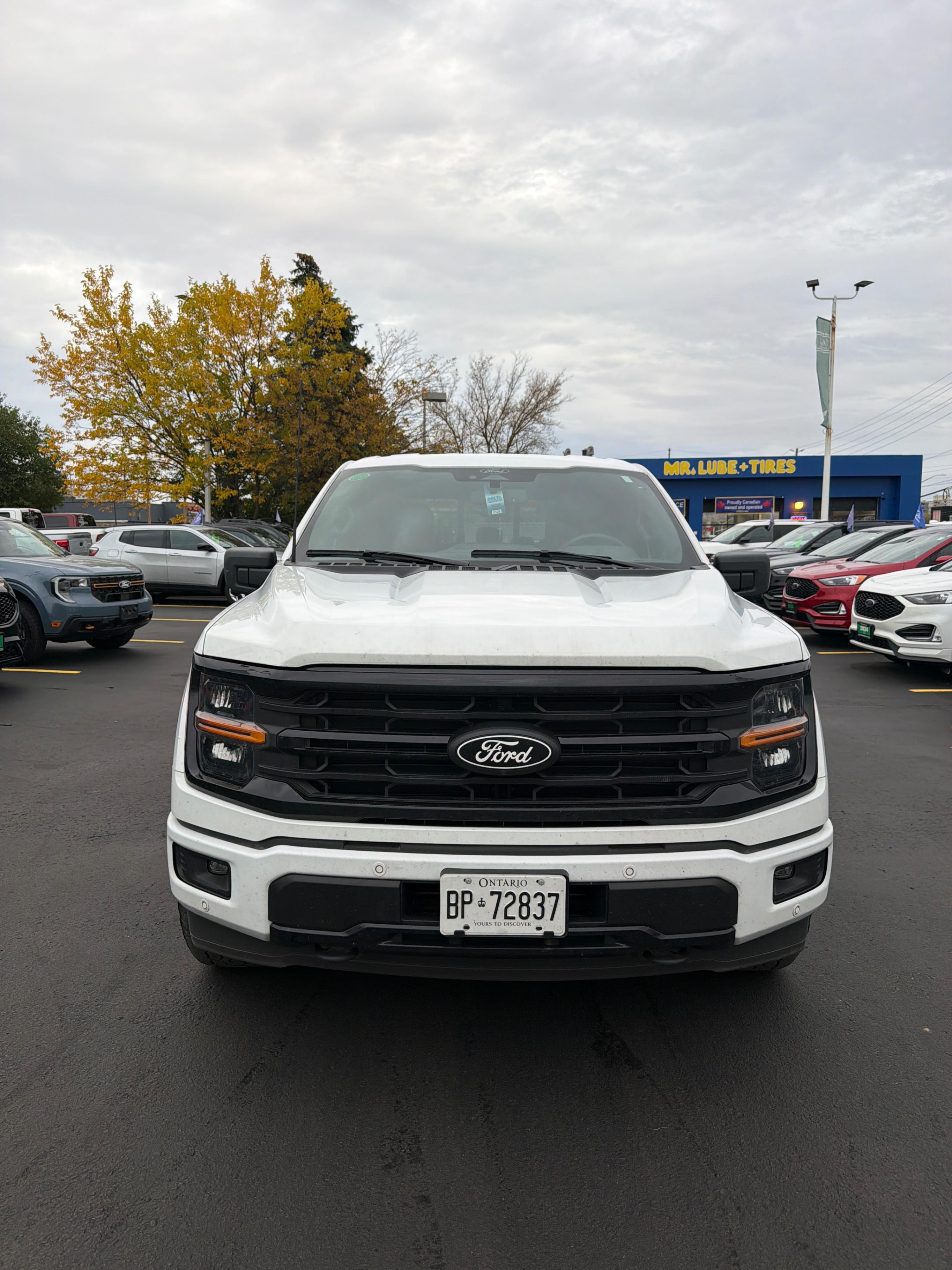 Снимка 6 от търг – 2025 FORD F-150 XLT с VIN 1FTEW3LP5SFA87330