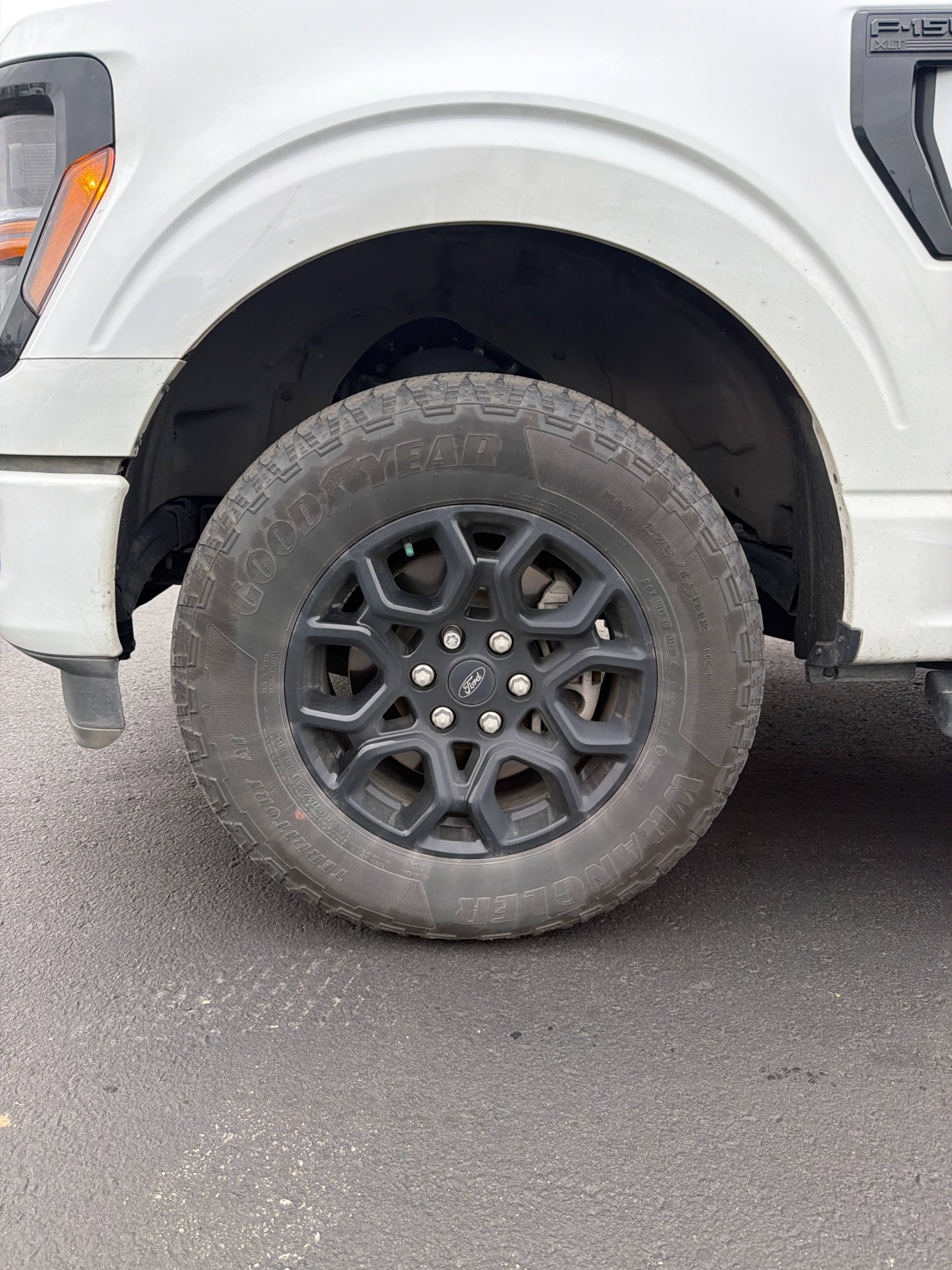 Снимка 7 от търг – 2025 FORD F-150 XLT с VIN 1FTEW3LP5SFA87330