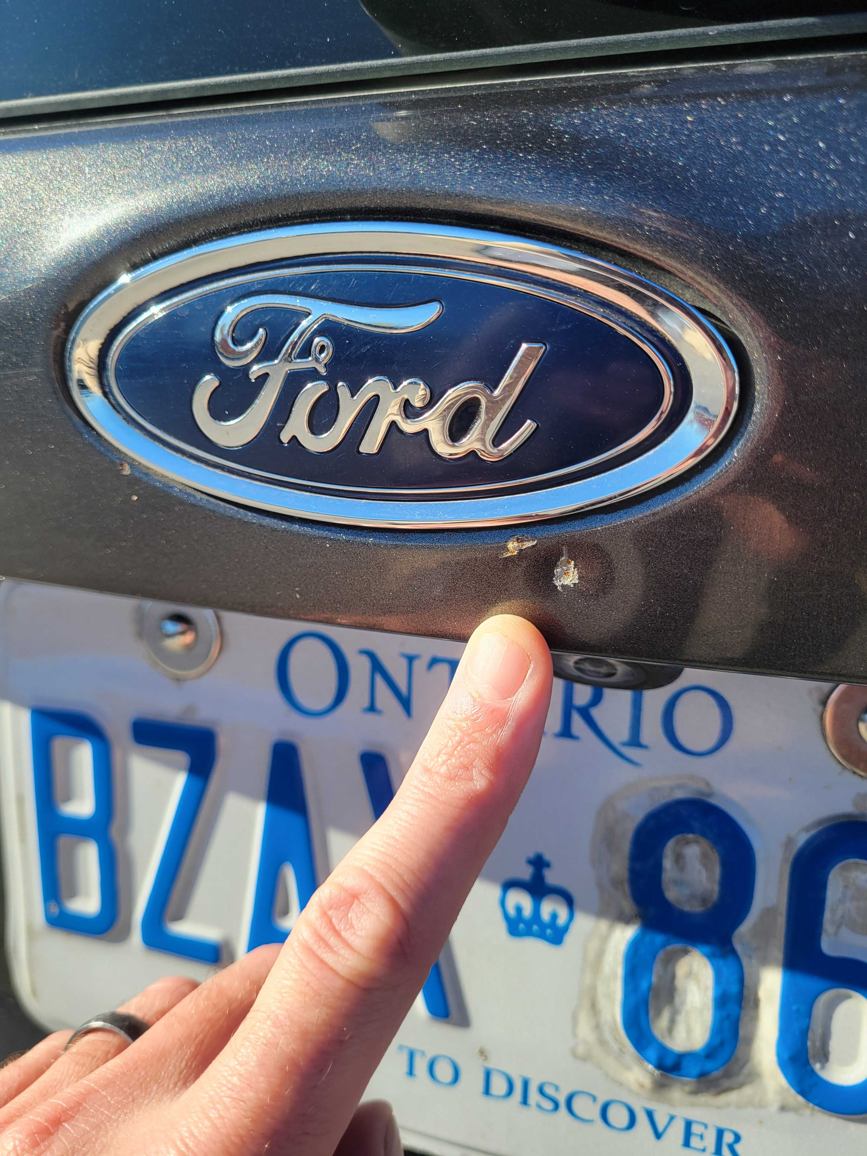 Снимка 18 от търг – 2016 FORD FOCUS SE с VIN 1FADP3K26GL291776