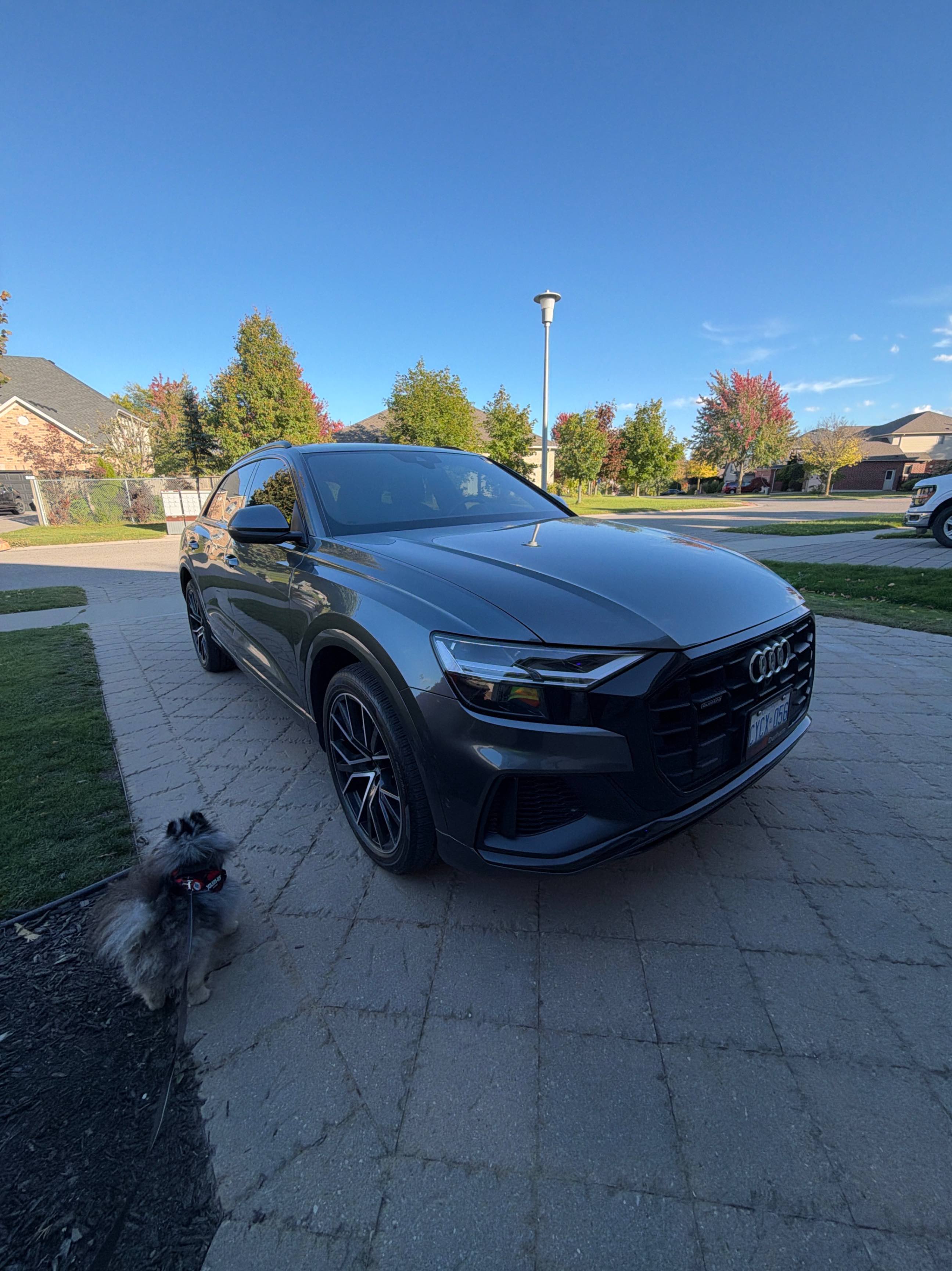 AUDI Q8 PROGRESSIV 2021 with VIN WA1DVAF12MD037813 - Photo from auction