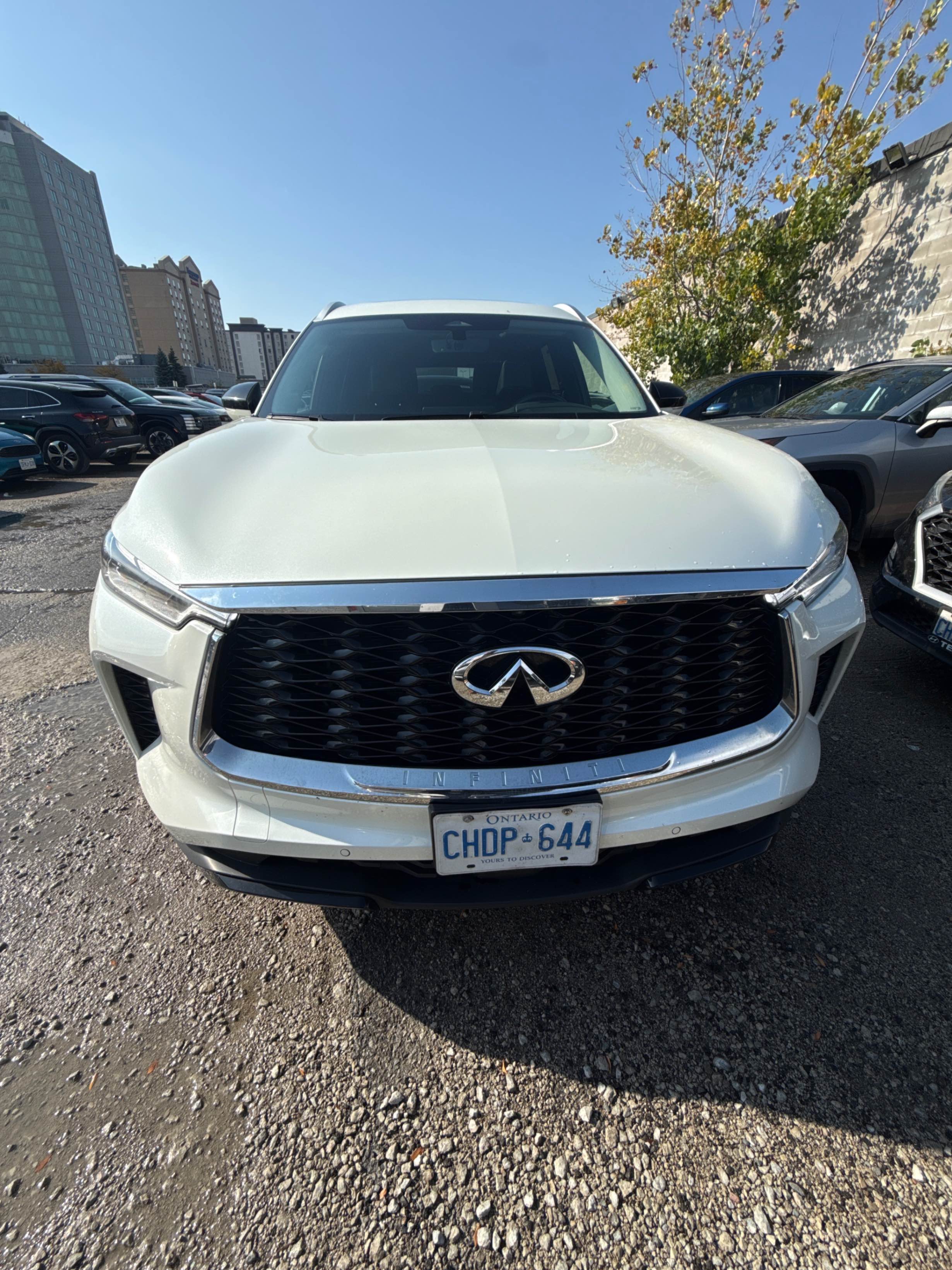 Снимка 6 от търг – 2023 INFINITI QX60 LUXE с VIN 5N1DL1FSXPC353437